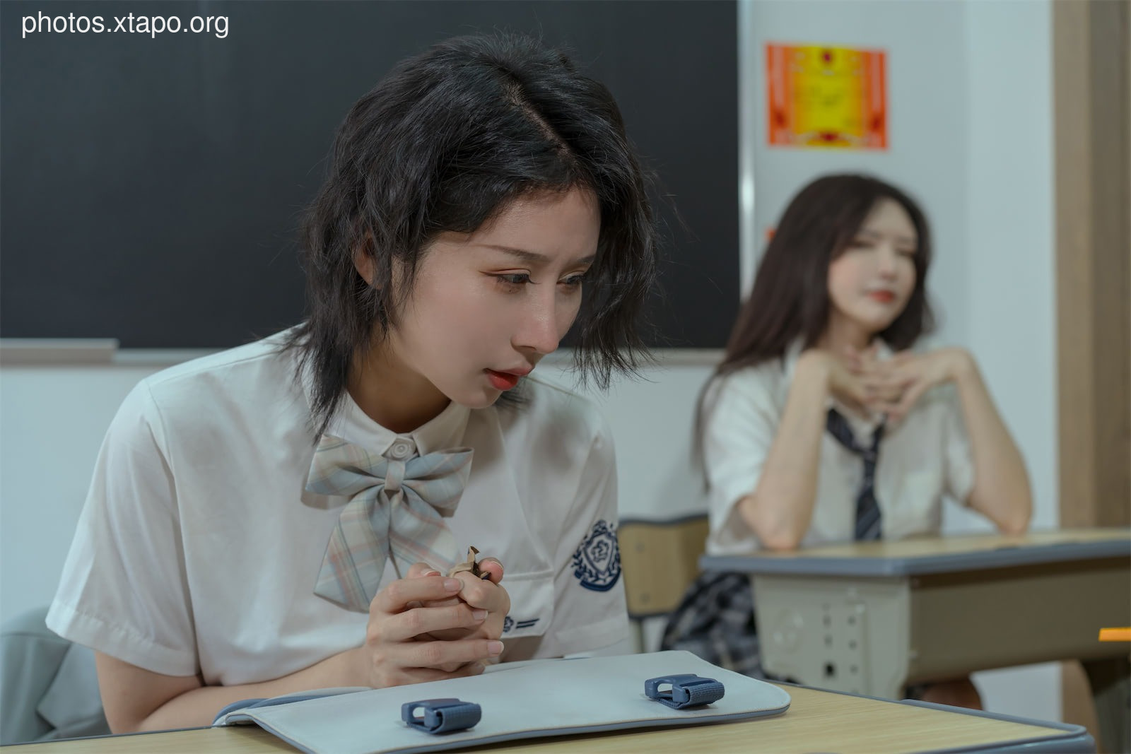 Autumn and Corgi Bullying Diary