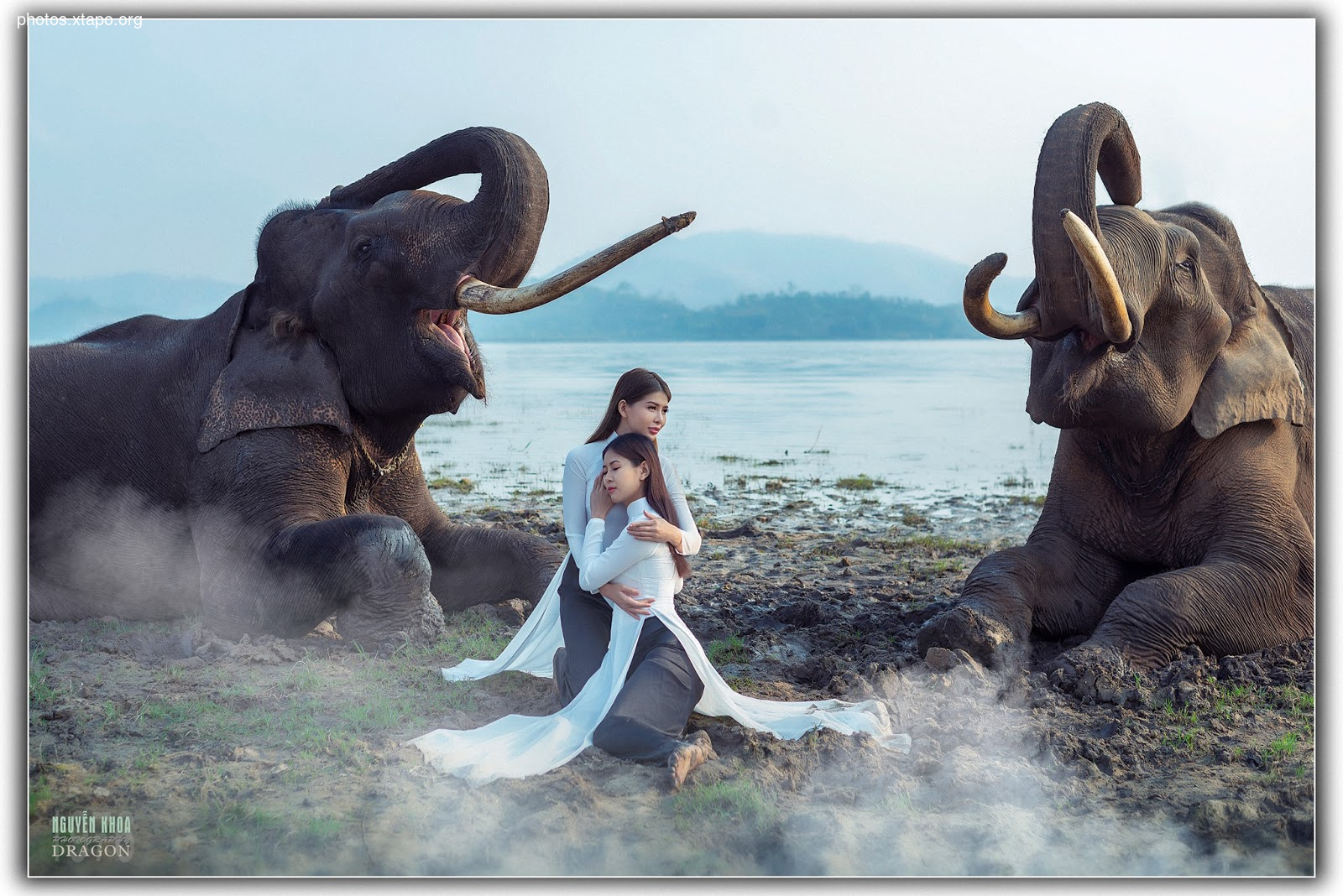 Thao Chi vs Kim Phung,