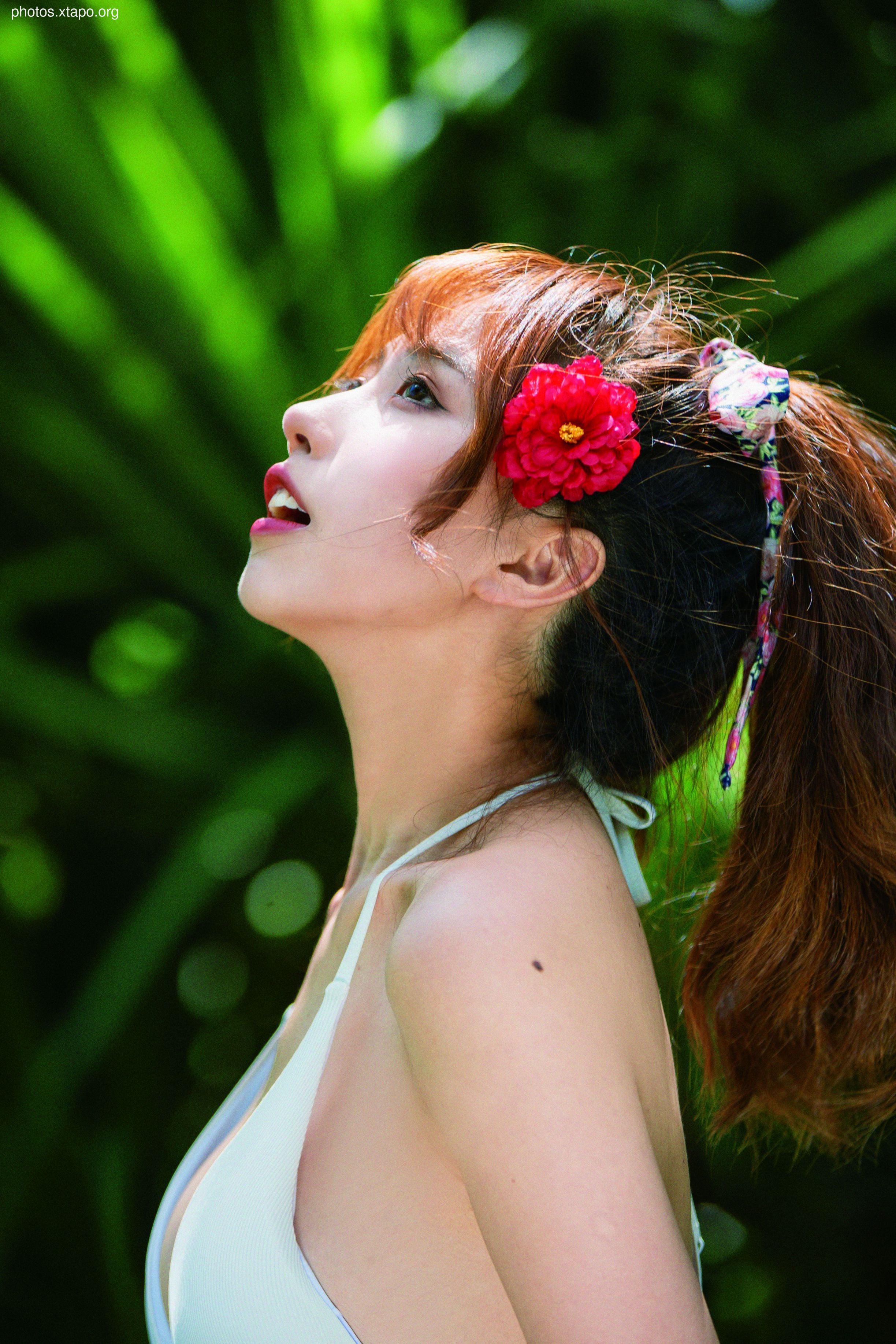 NO.034 Showa Flower 35P-435MB