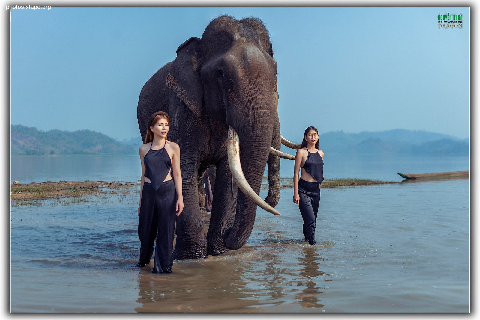 Thao Chi vs Kim Phung,