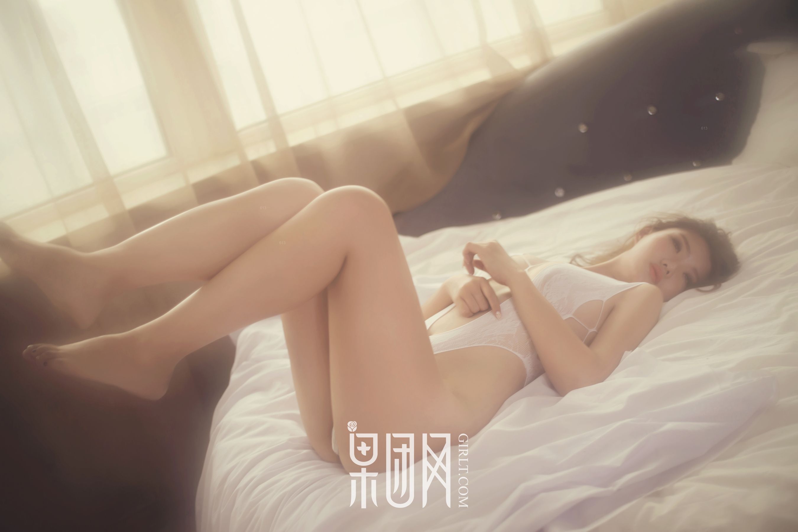 Shanshan All Meat Mooncake Fruit Group Girlt No.062