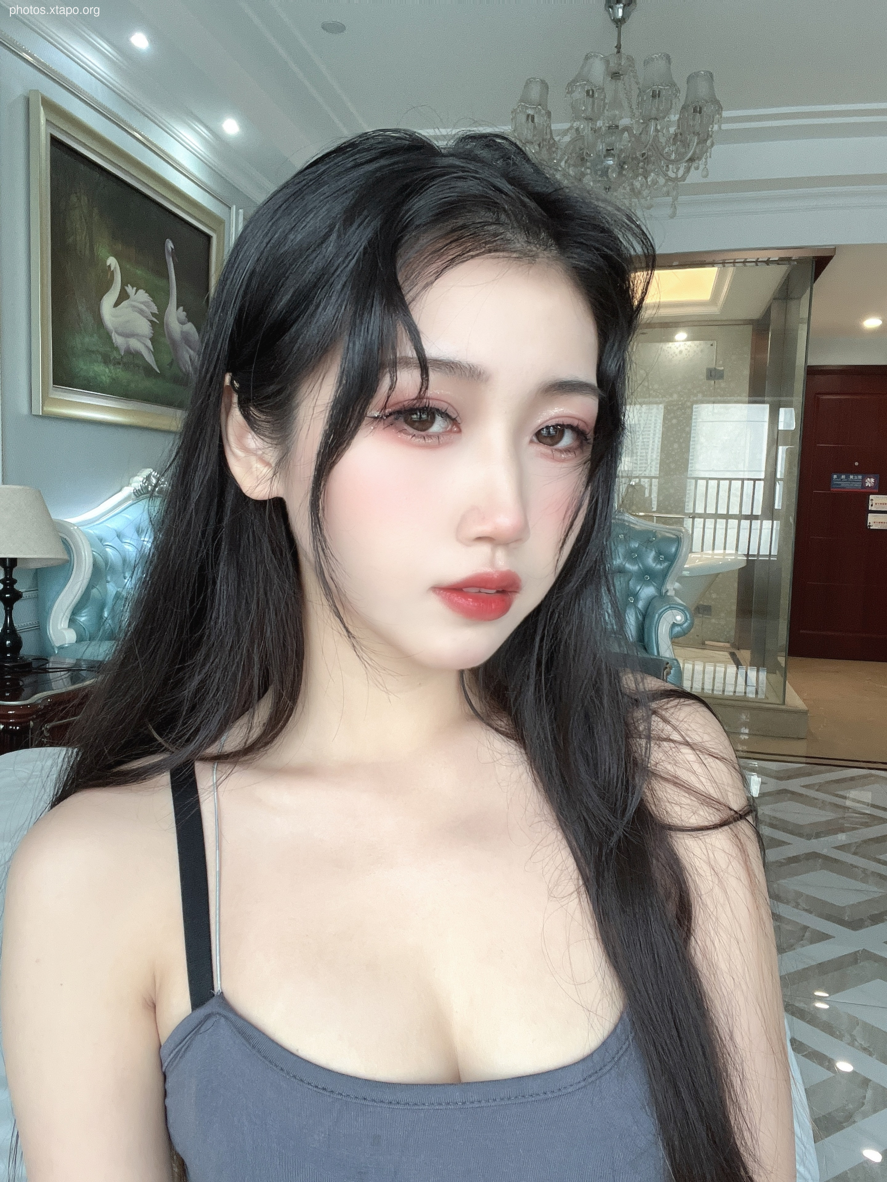 No Cat Cat Gray Sister 40P-1V