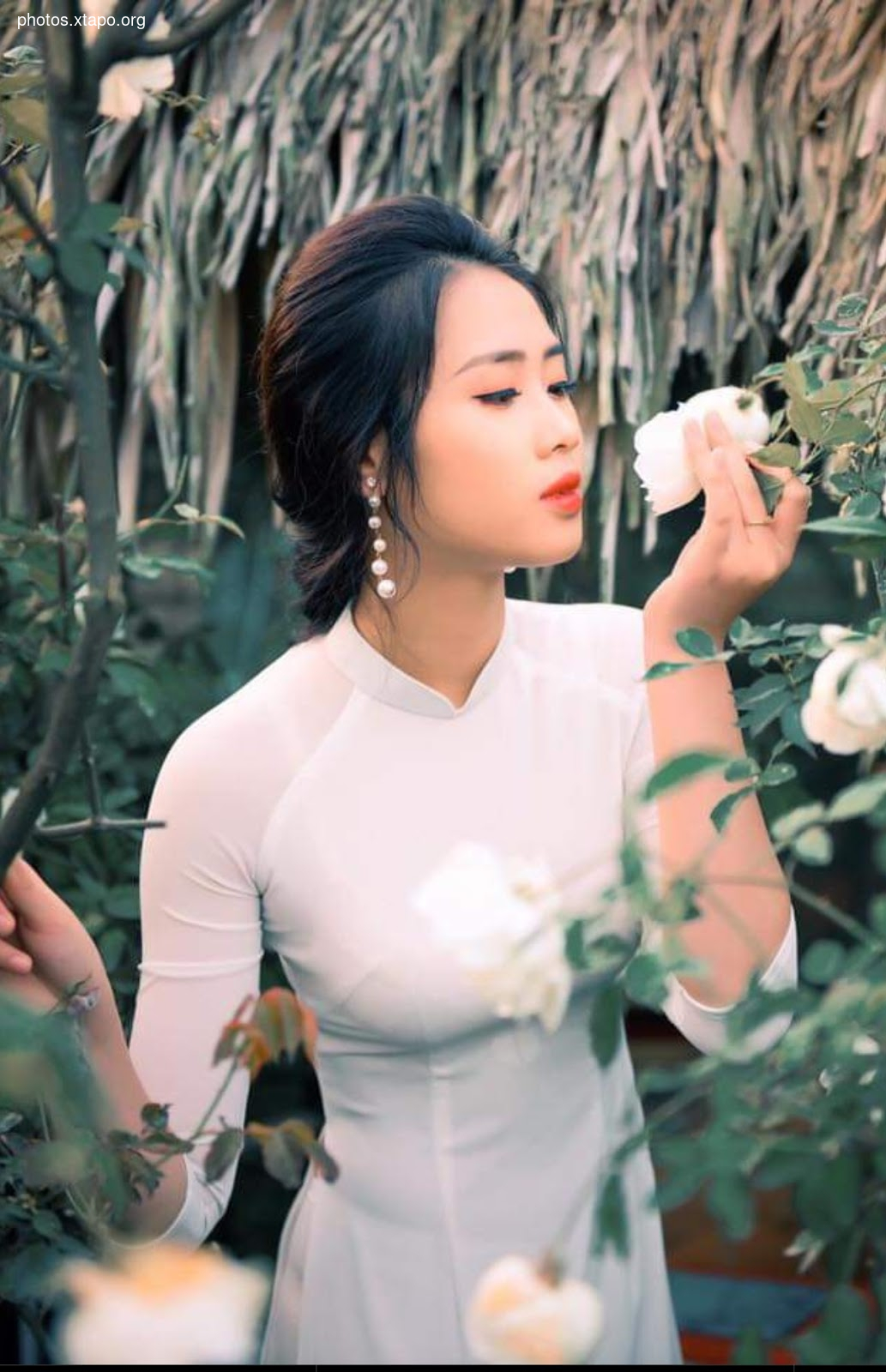 Ngoc Anh,