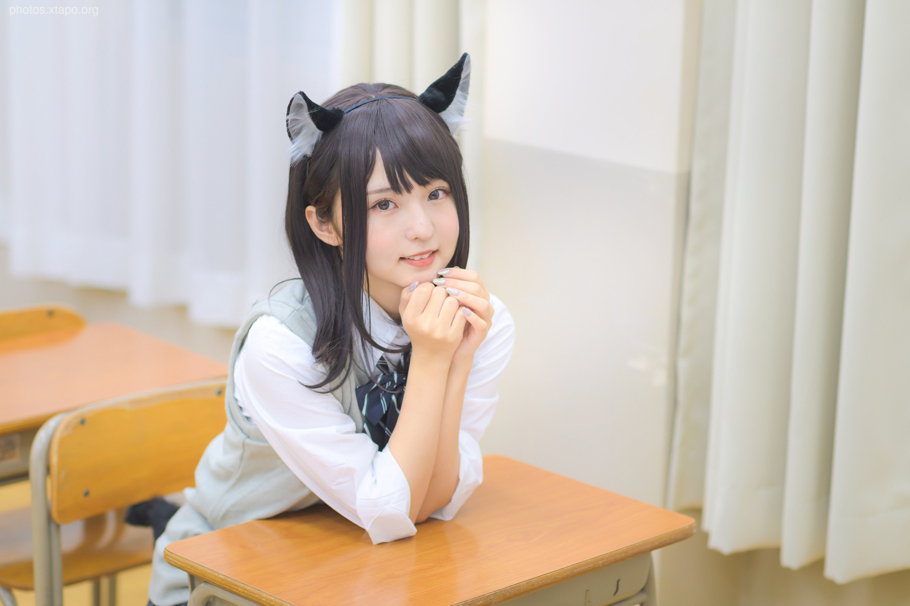 C96 Tofu Factory (Anni Tofu) mamefu Chaton