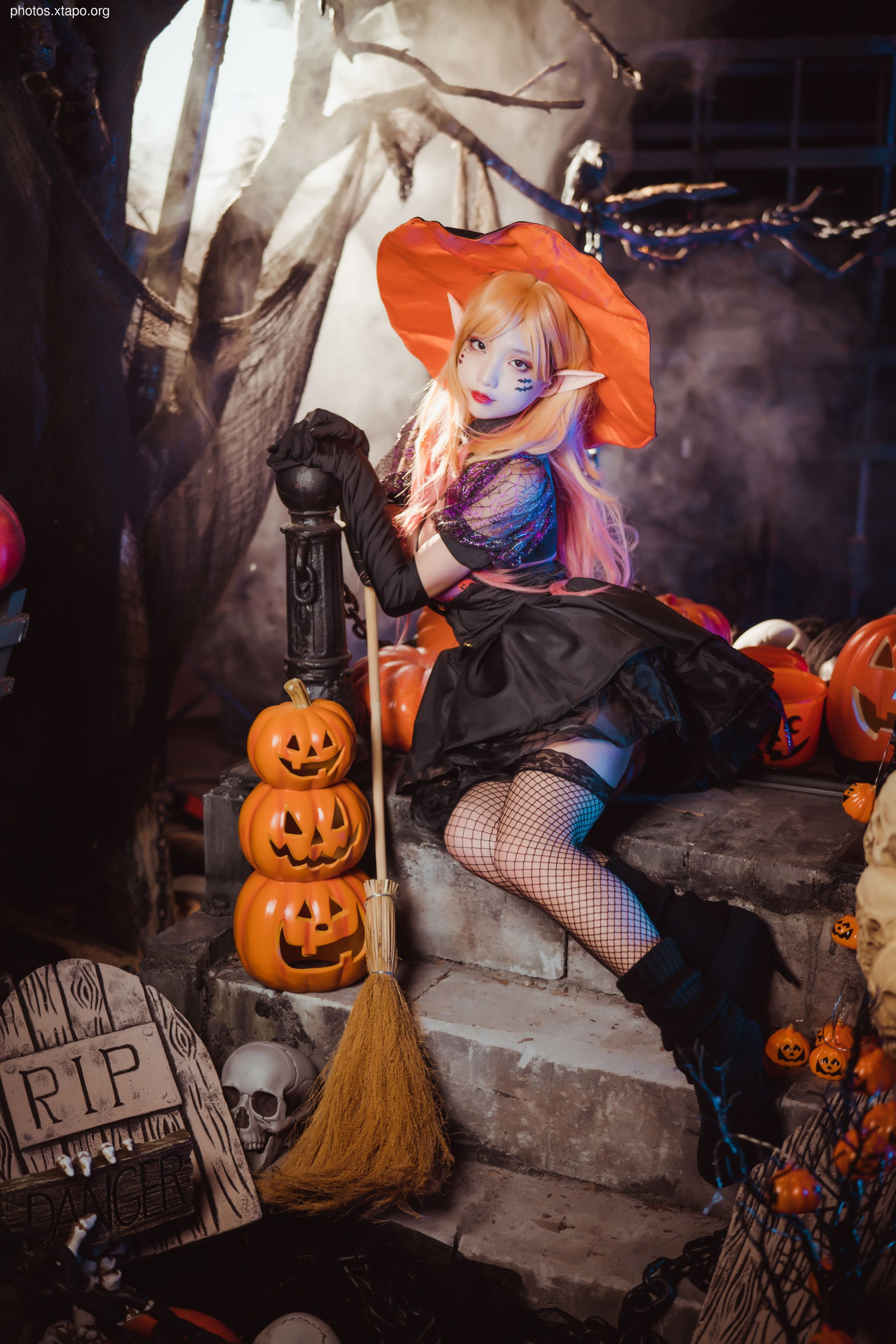 Fox 狐 狐 Halloween