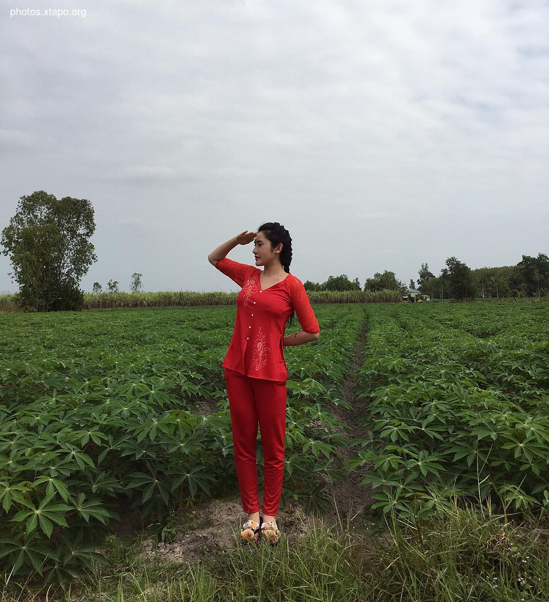 Luong Hoang Bao Nhu,