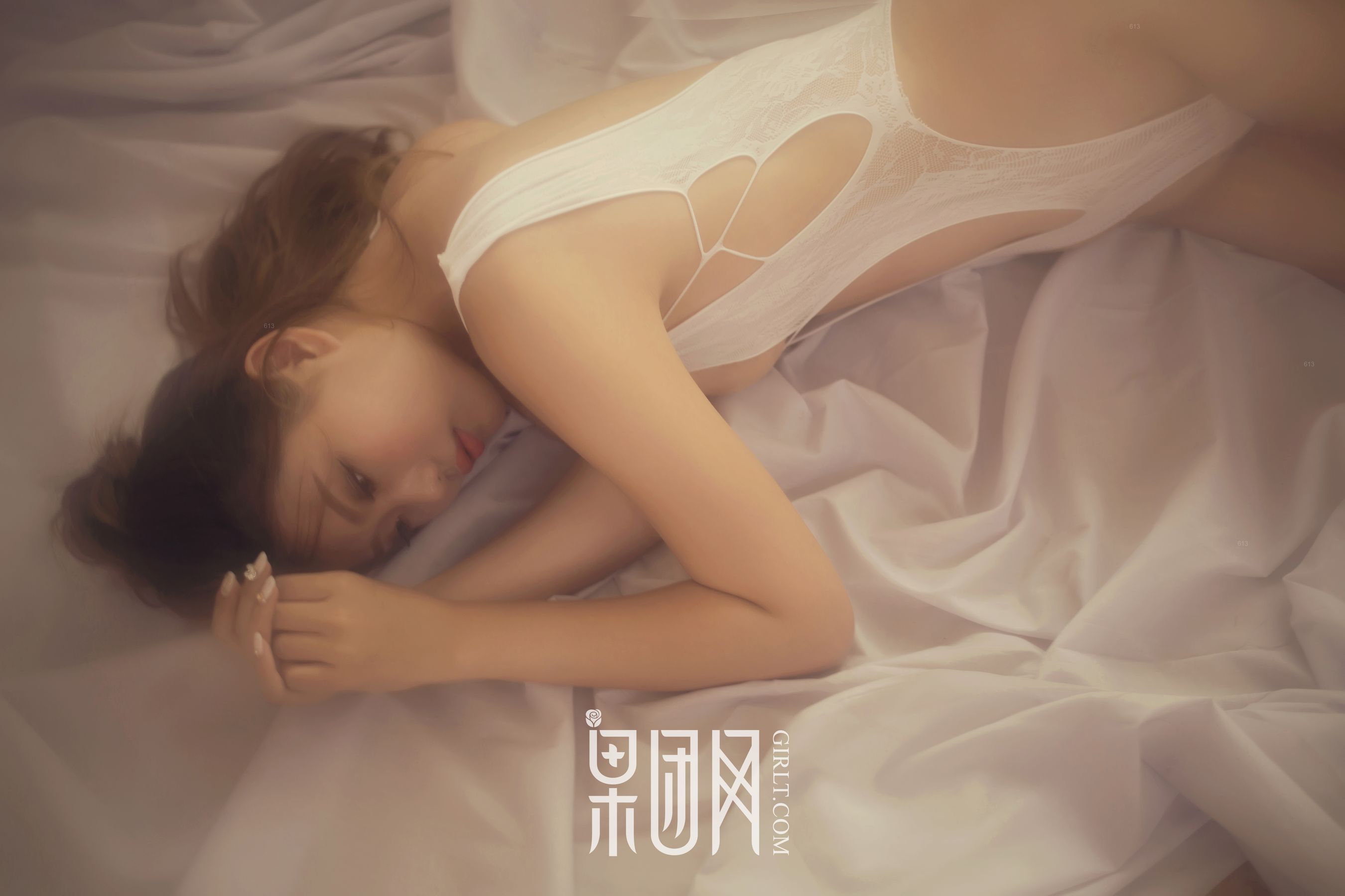 Shanshan All Meat Mooncake Fruit Group Girlt No.062