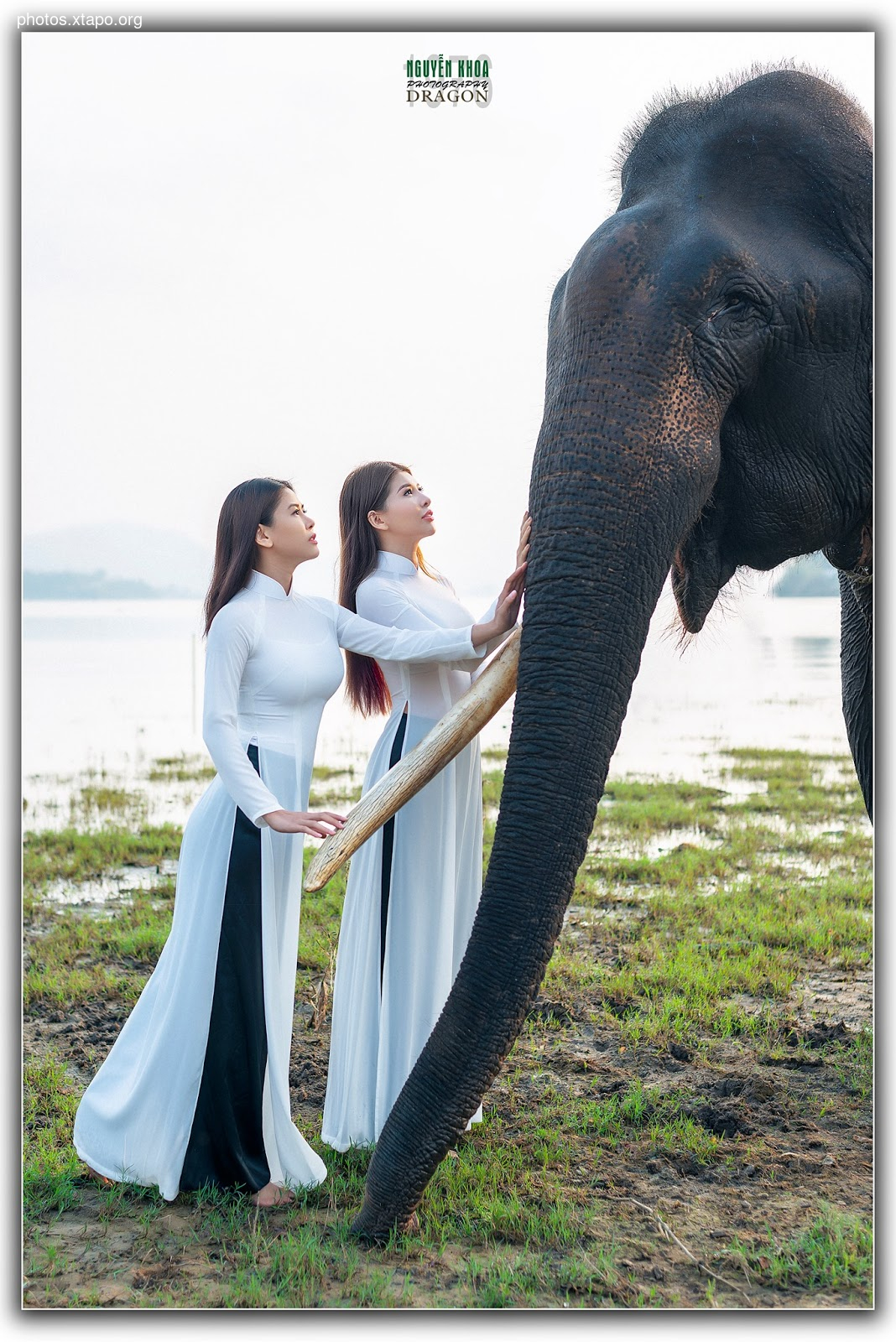 Thao Chi vs Kim Phung,