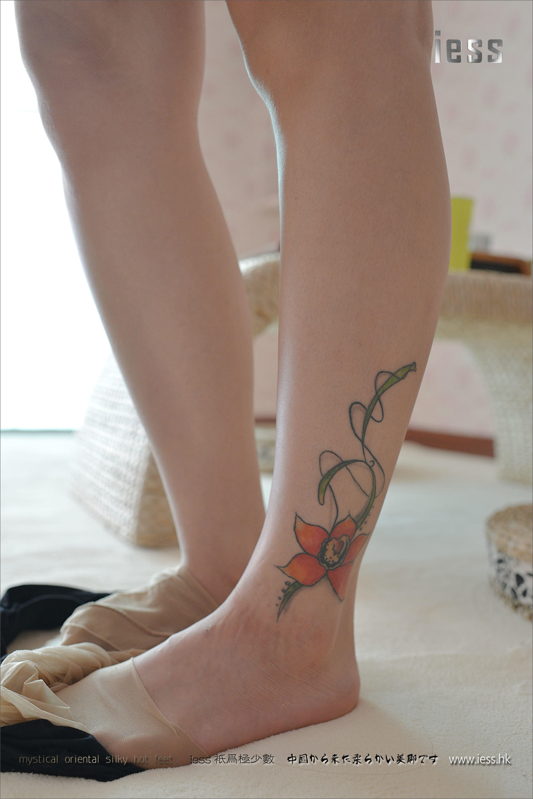 Silk Foot Bento 066 Youyou 2016 IESS Thinking Funbian