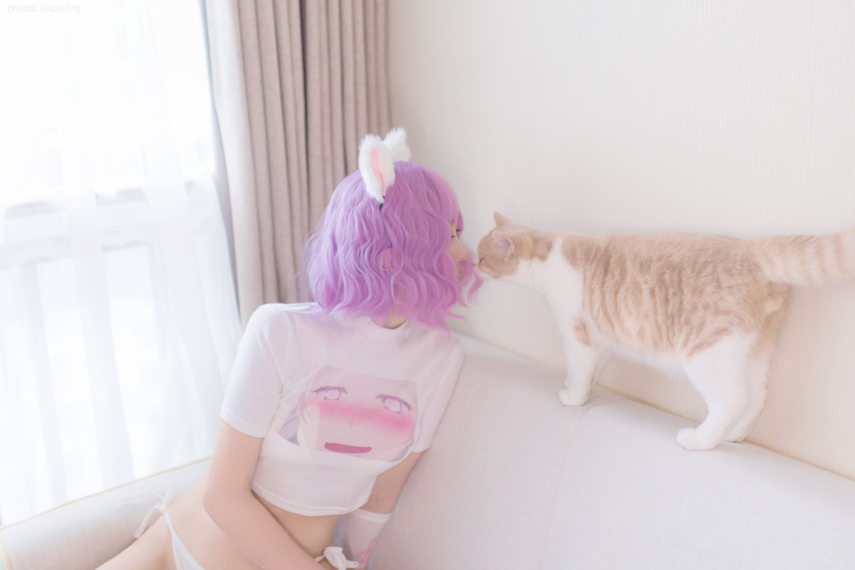 NO.033 Cat Catalog 36P-324MB