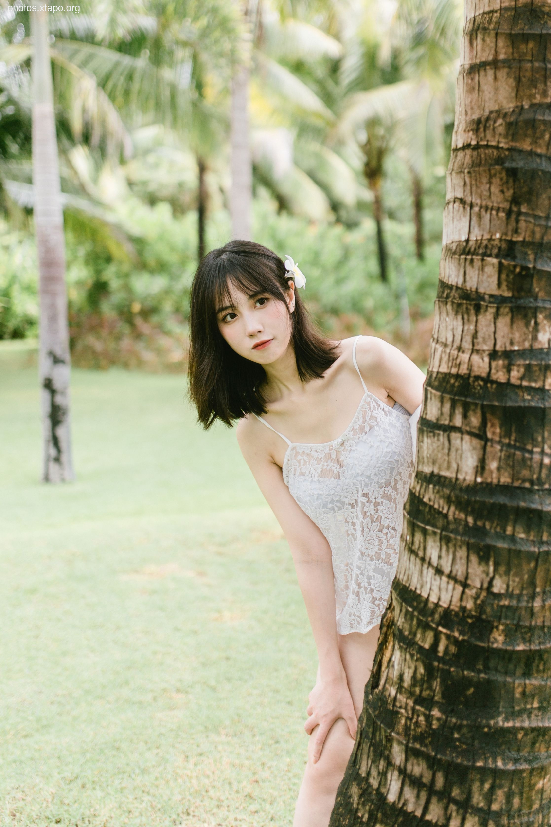 NO.016 Day Dream 35P-368MB