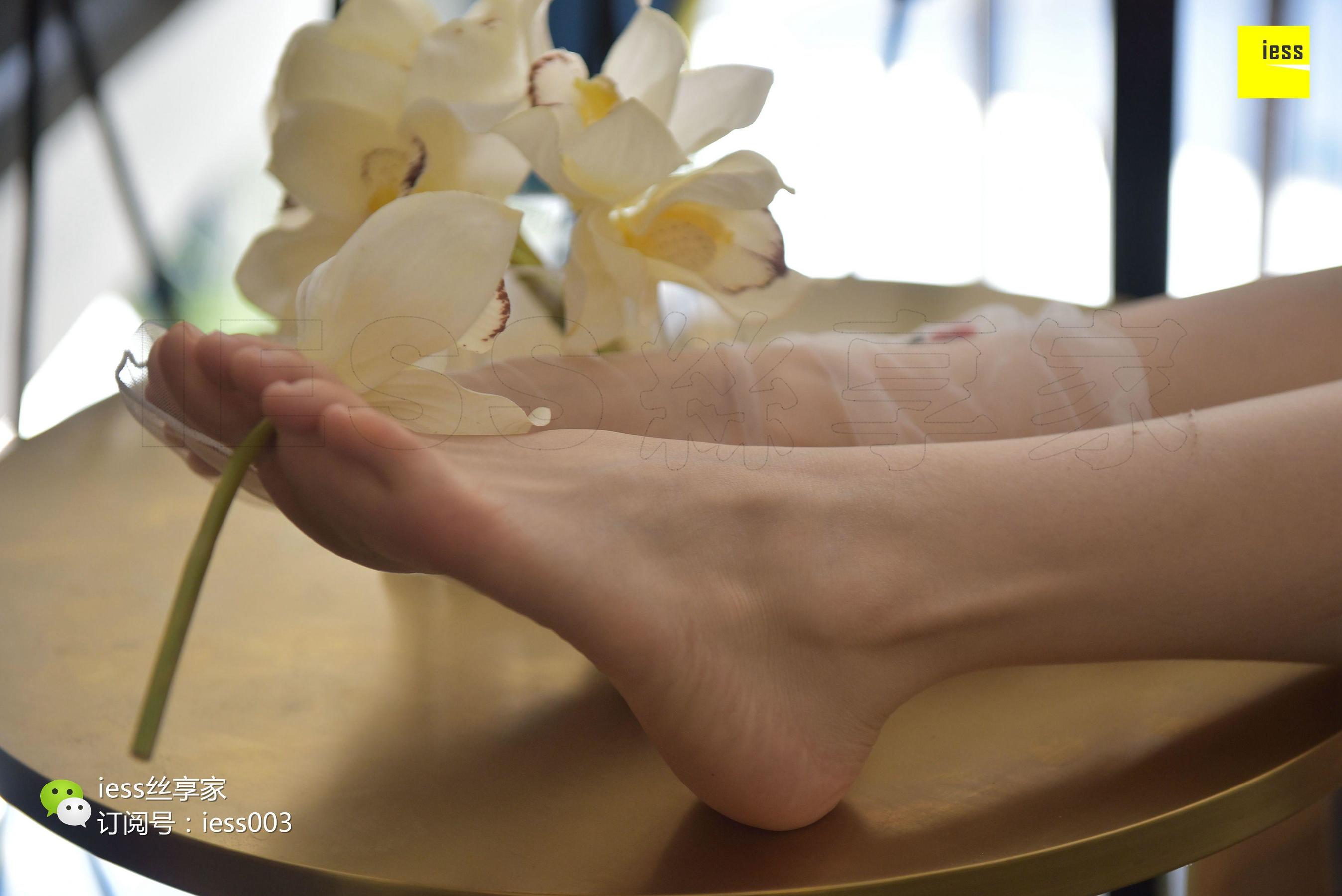 Silkxiang Home 050 Jiajia Jiajia Jiaye IESS is thinking about it