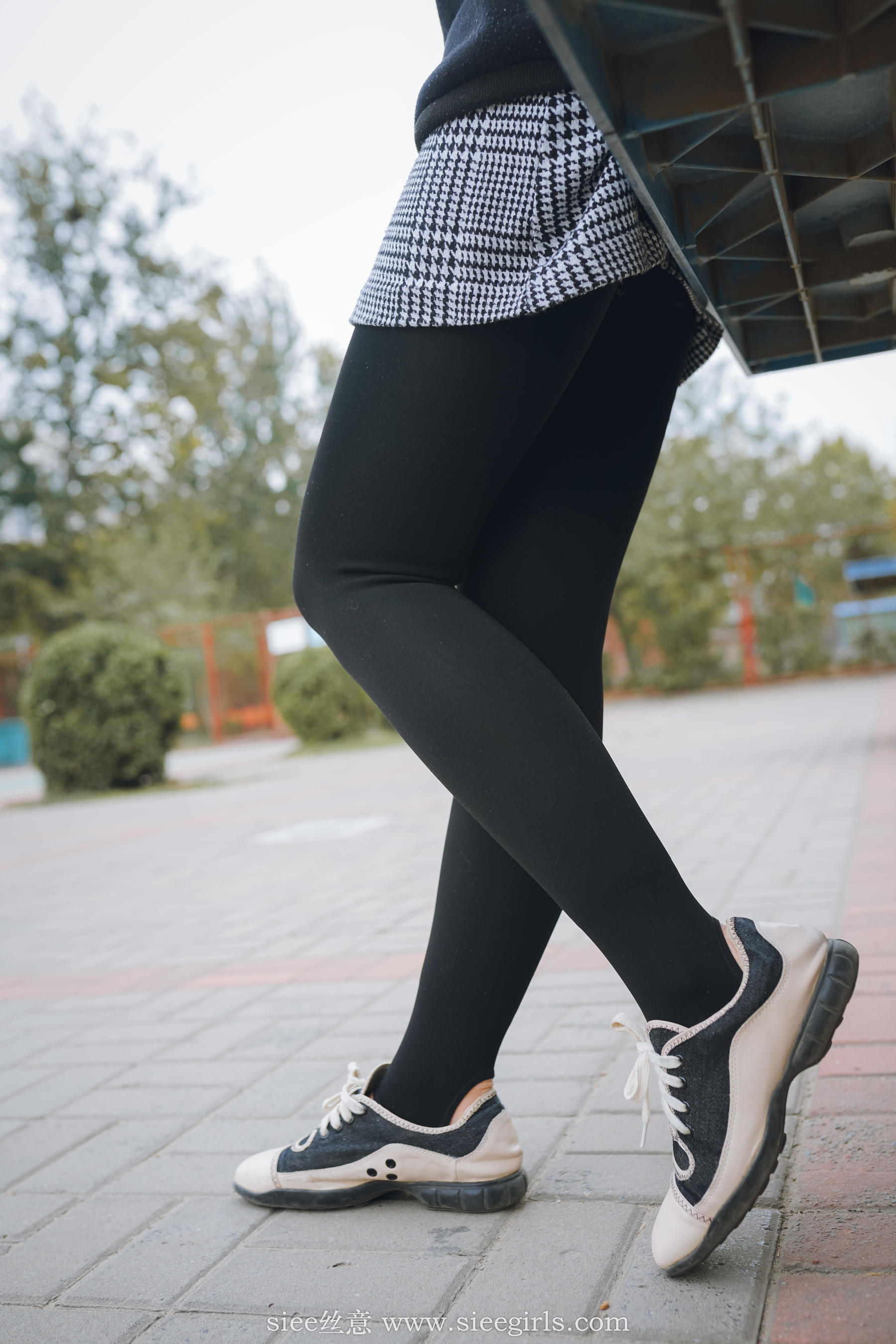 Si Yi Siee The romantic sisters of the bear