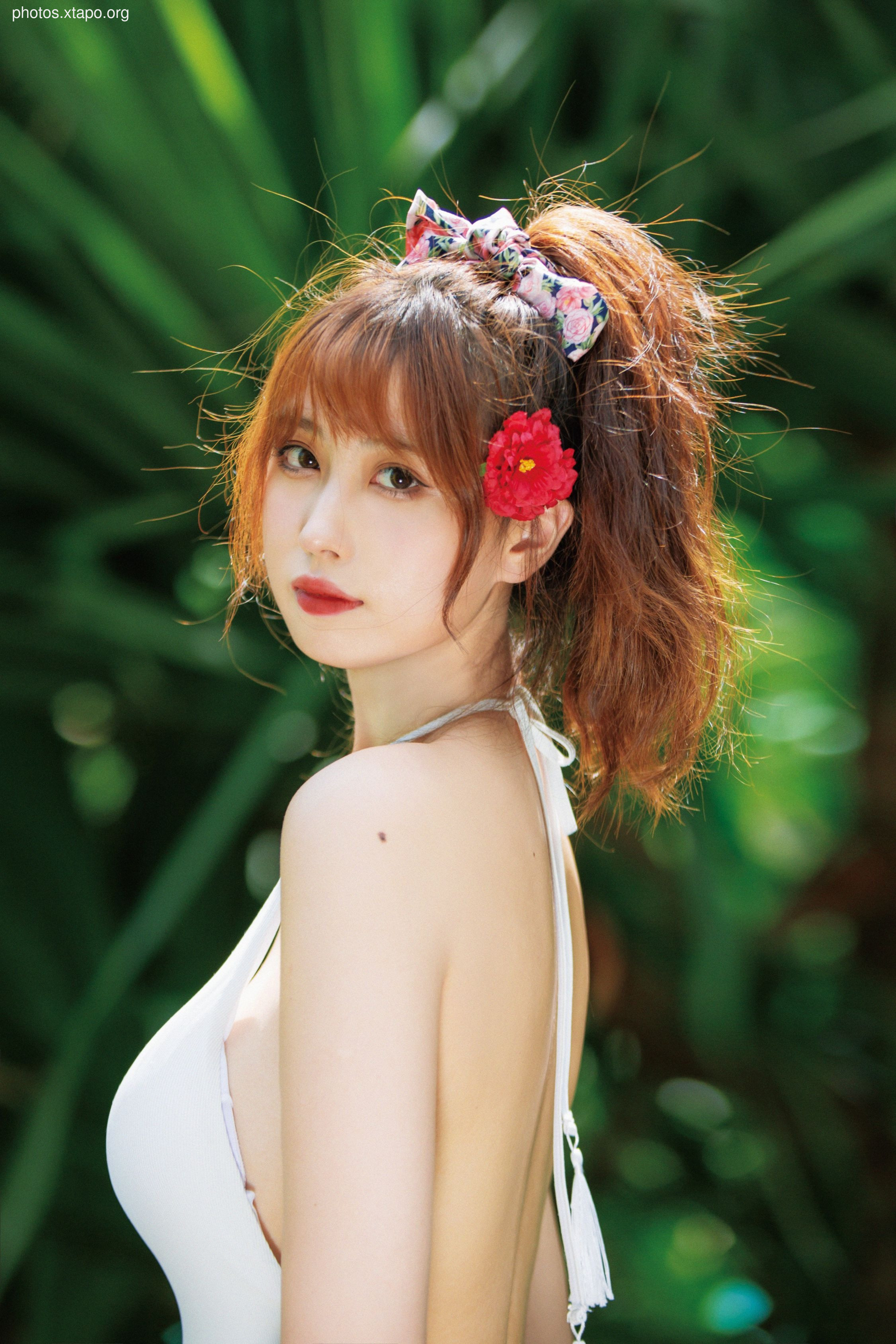 NO.034 Showa Flower 35P-435MB