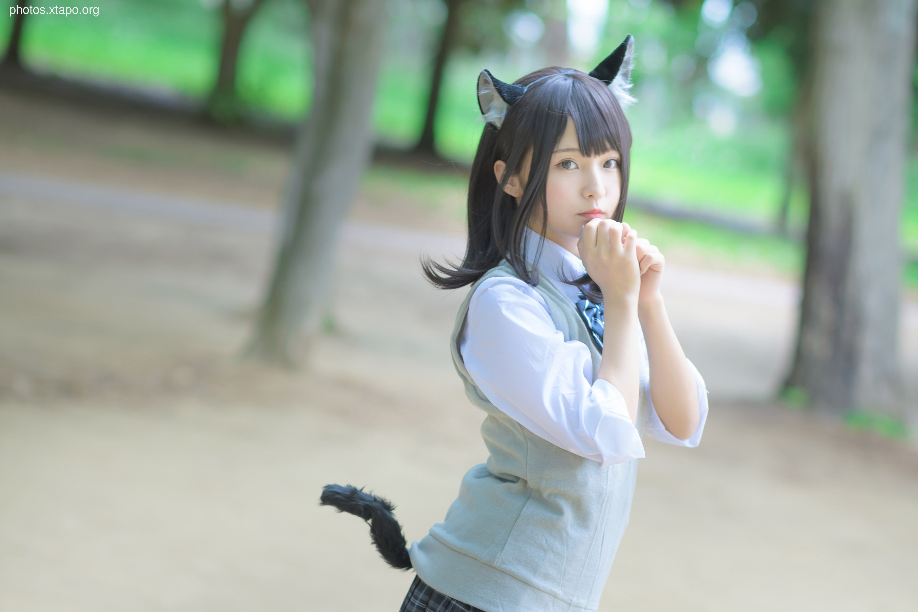 C96 Tofu Factory (Anni Tofu) mamefu Chaton