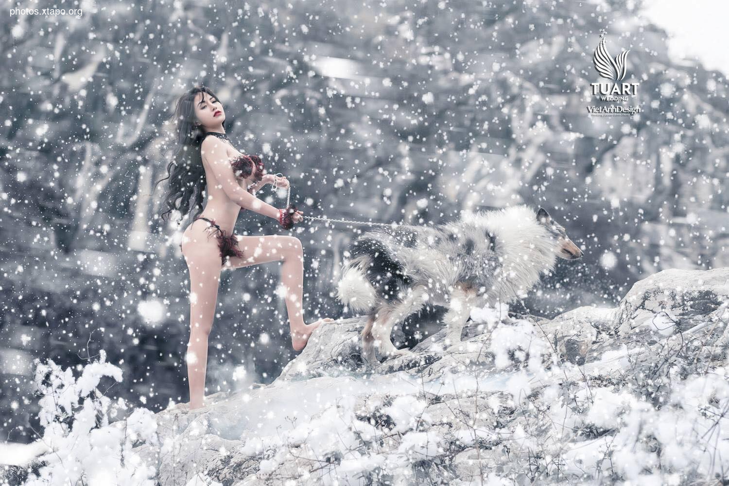 Tuyet Son Phi Ho, - Absolute Coc Coc V2 by Tuart