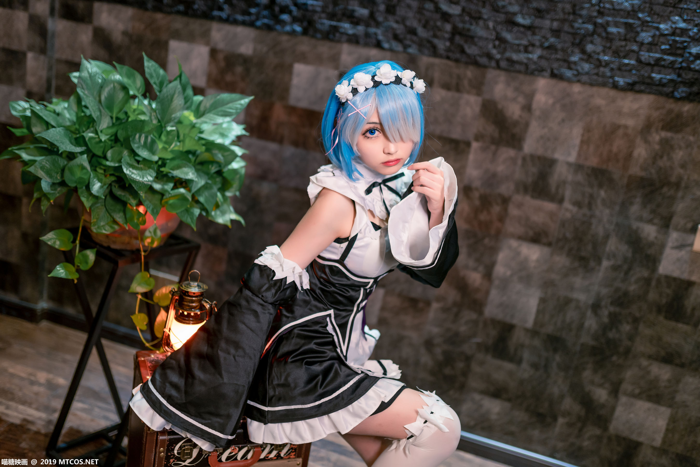 Meow Sugar Scales SPL.005 Rem maid