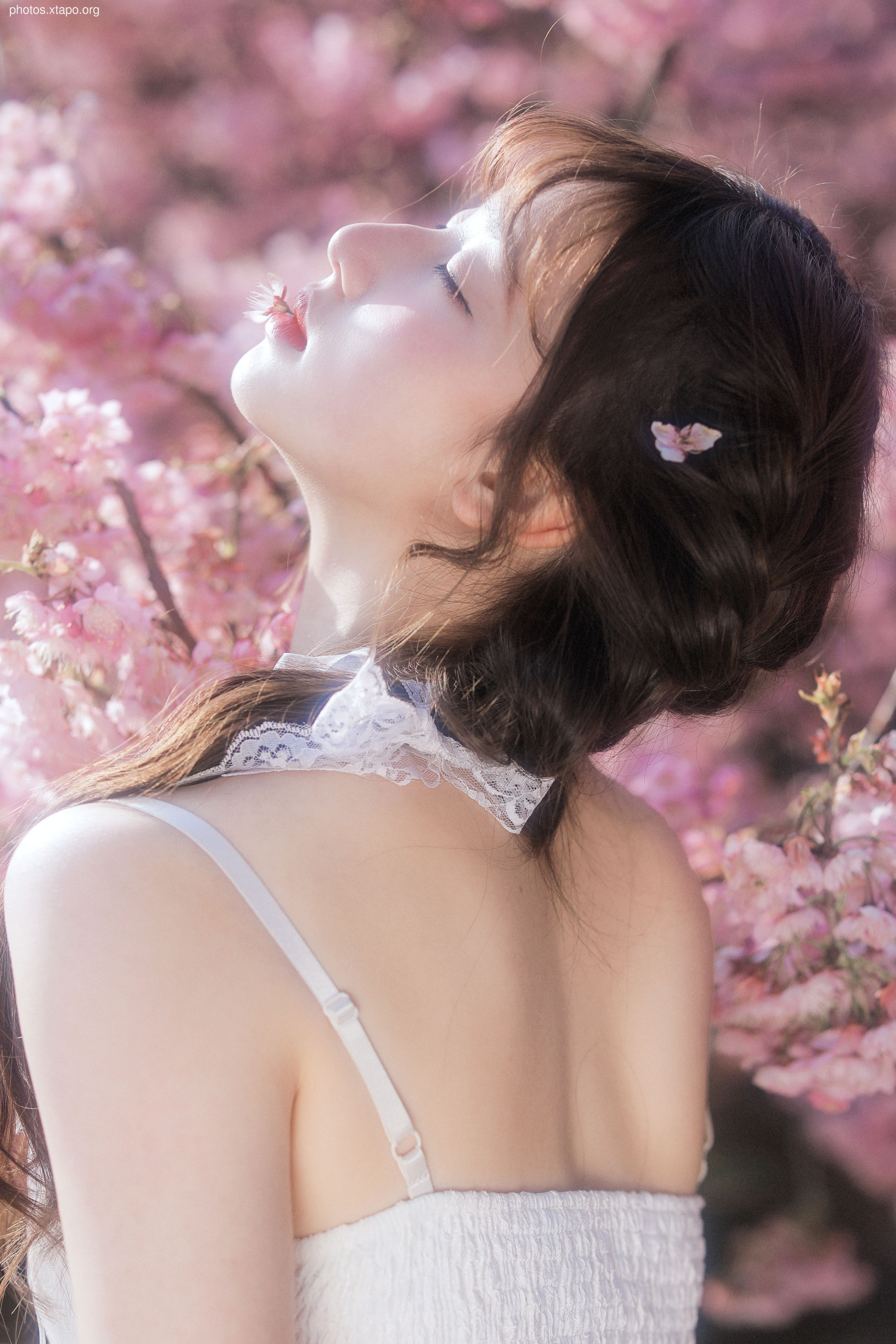 Yizi yiii cherry blossom limited