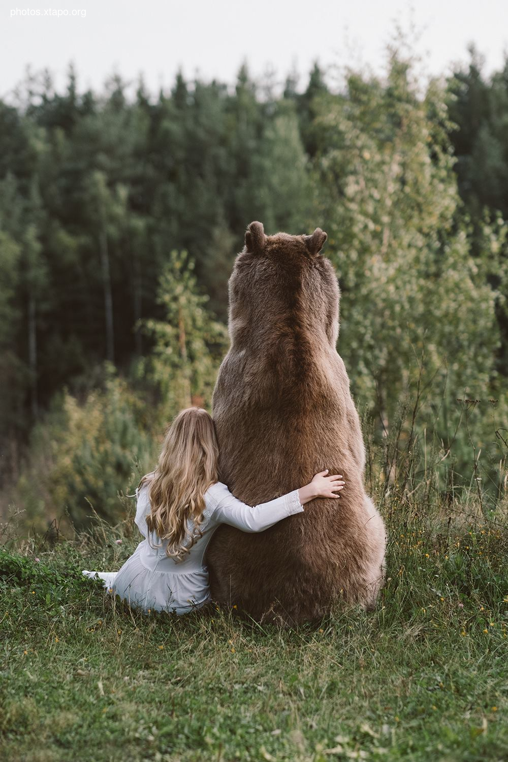 Russia nature, forest and animals by Olga Barantseva