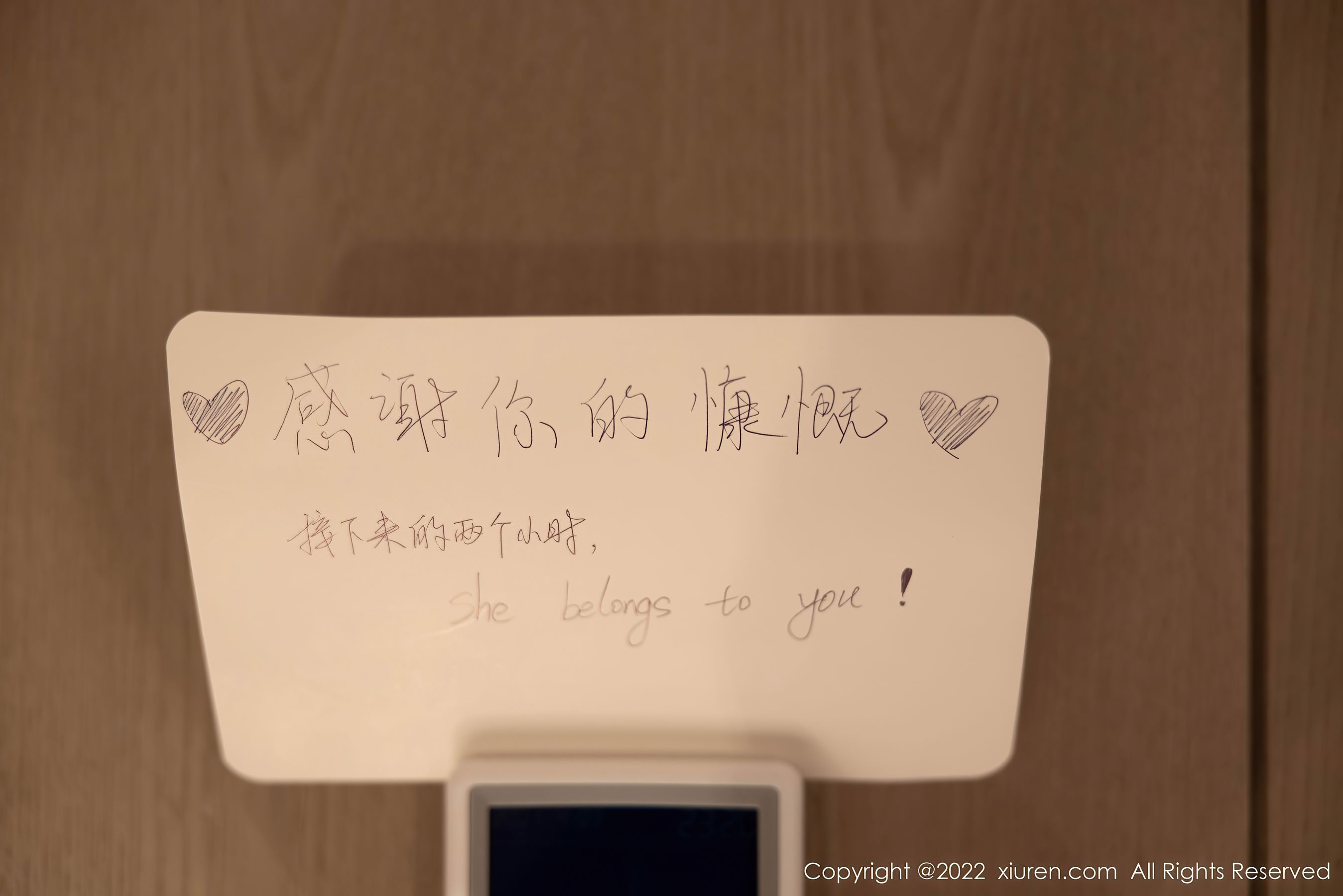 Xiuren NO.55536 Qilijia ULA