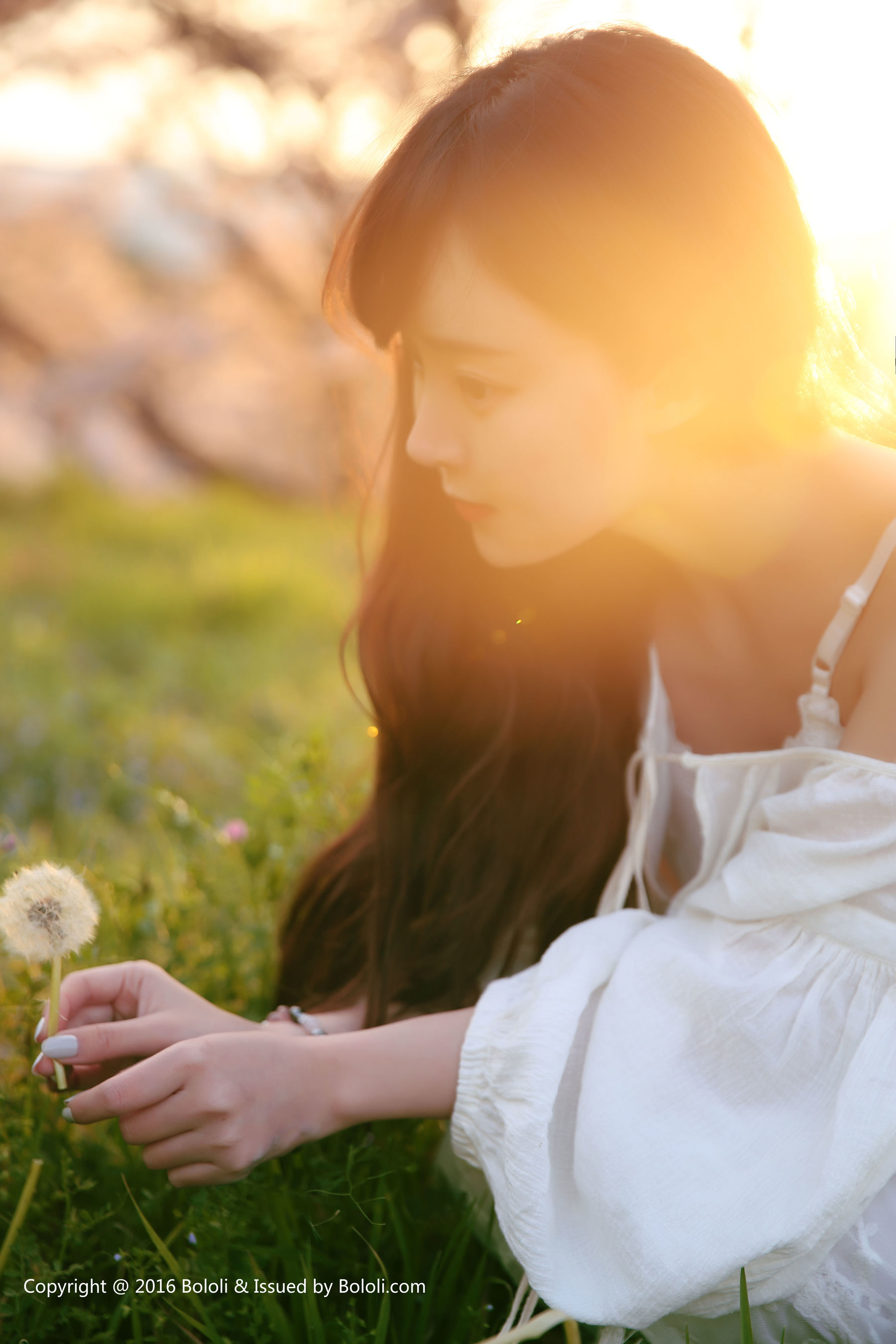 Liu Yanqi Seven Treasures Japanese Travel Special Bololi Polo Society bol.011