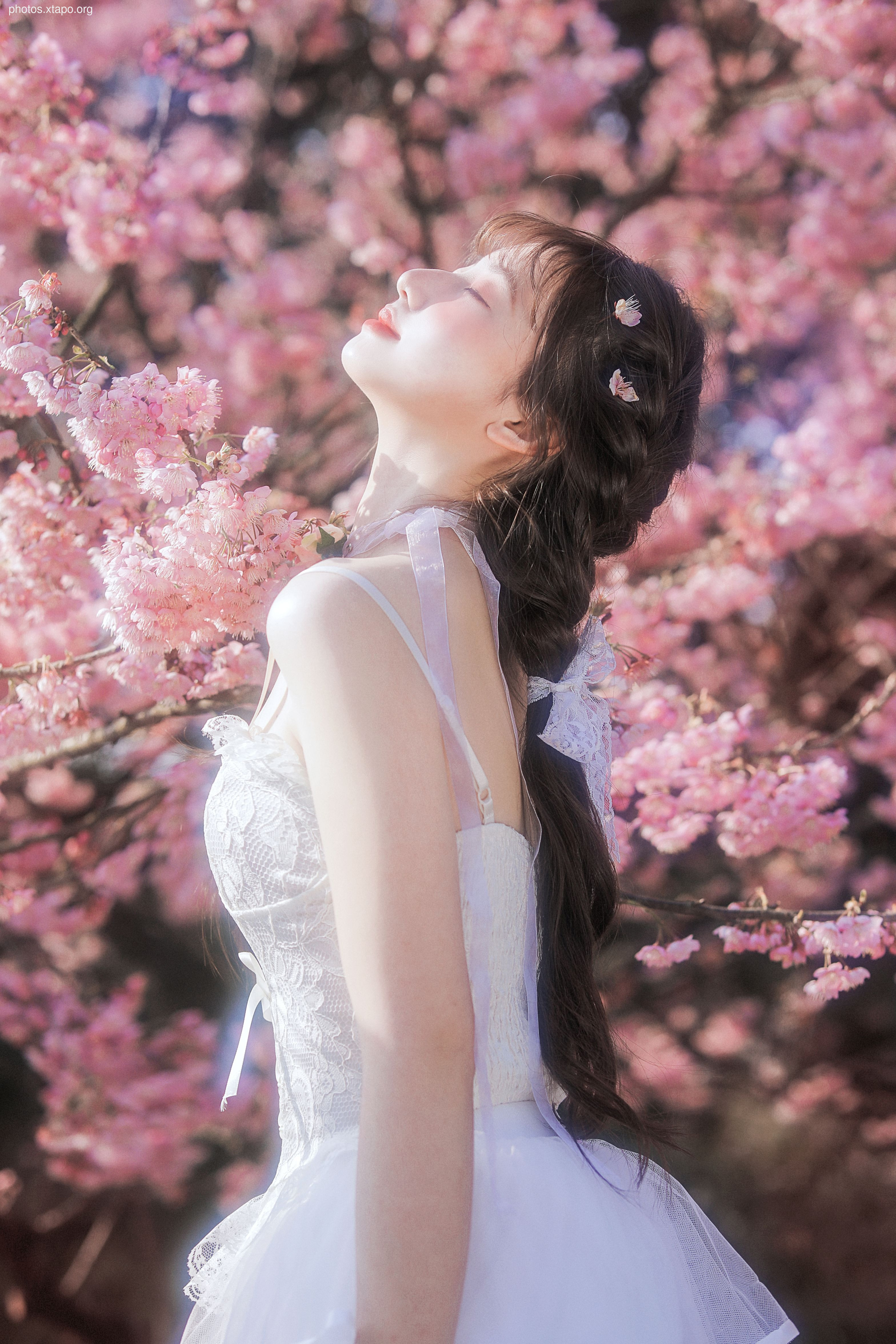 Yizi yiii cherry blossom limited