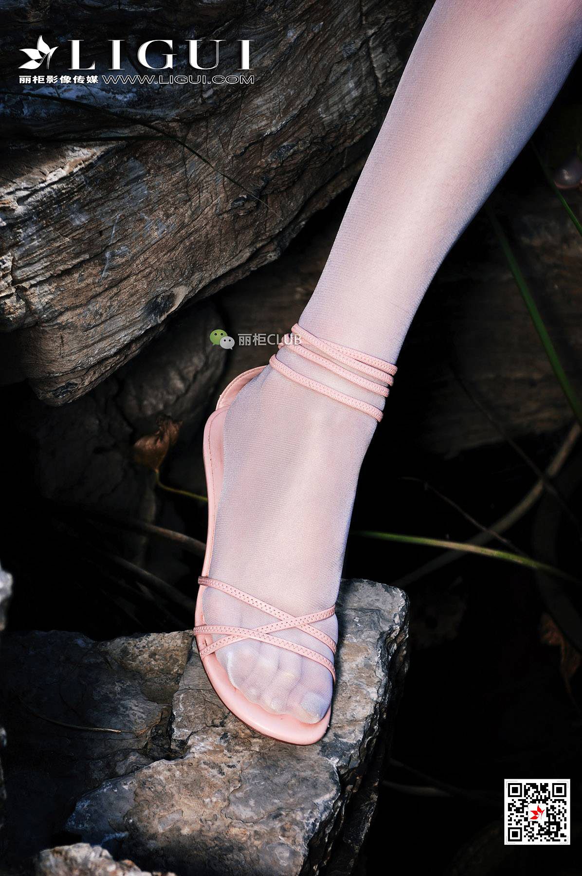 Leg Model Liu Tao Classical Meisi Li Cabinel Ligui Stockings Beautiful Legs