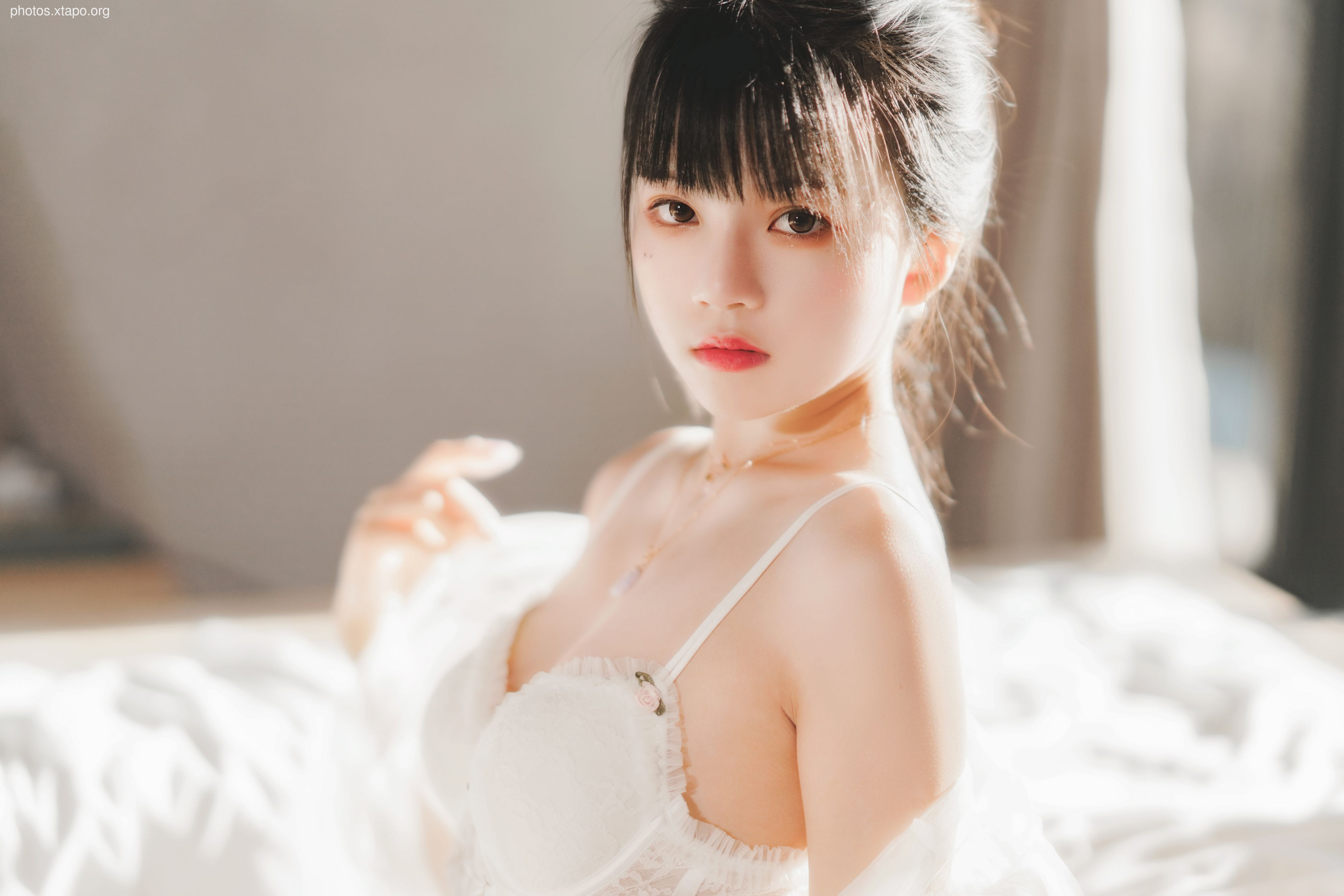 糖 桜 – -White gauze sugar