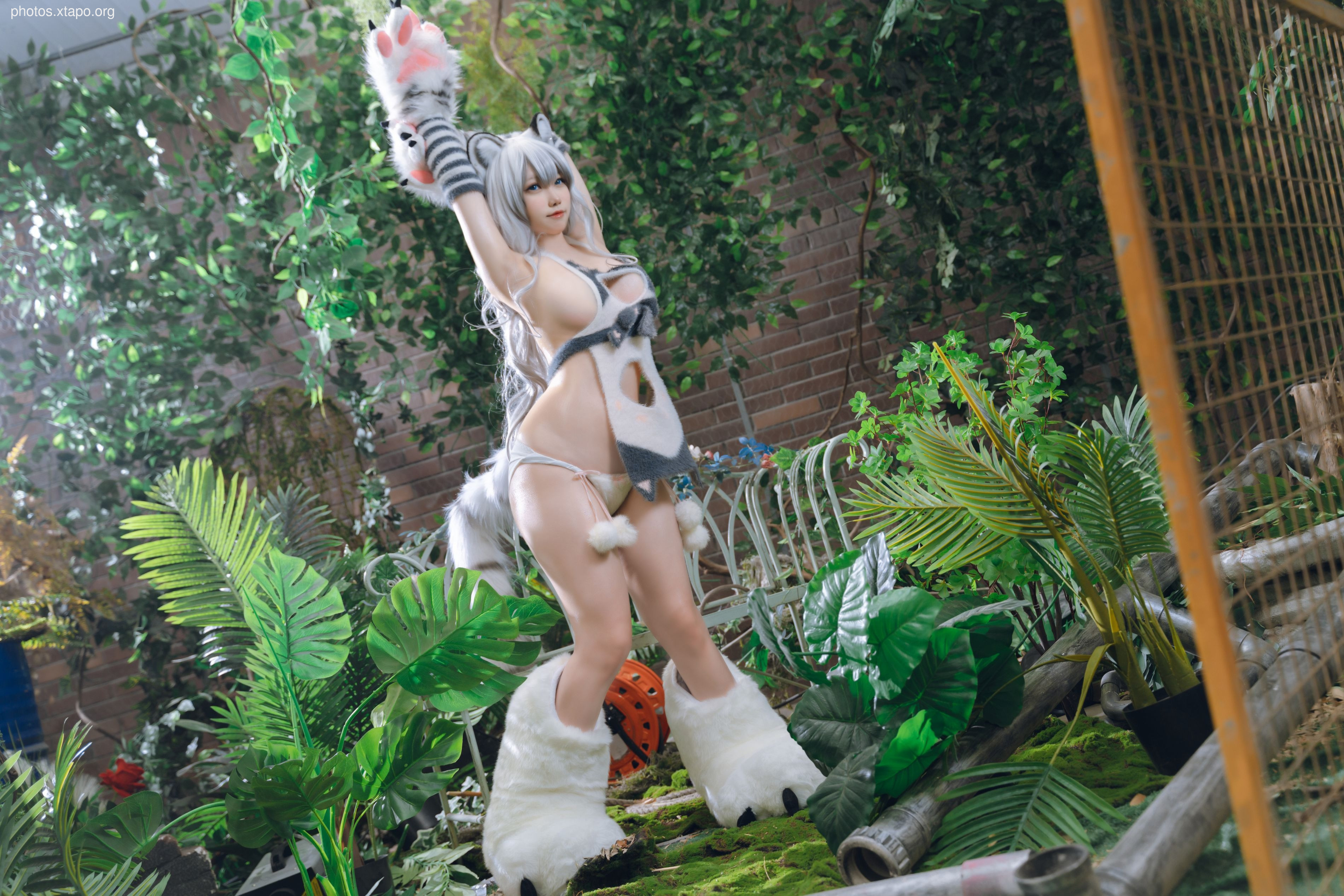 One North White Tiger Beast Mother Furui (November 21 Award Group Resources)