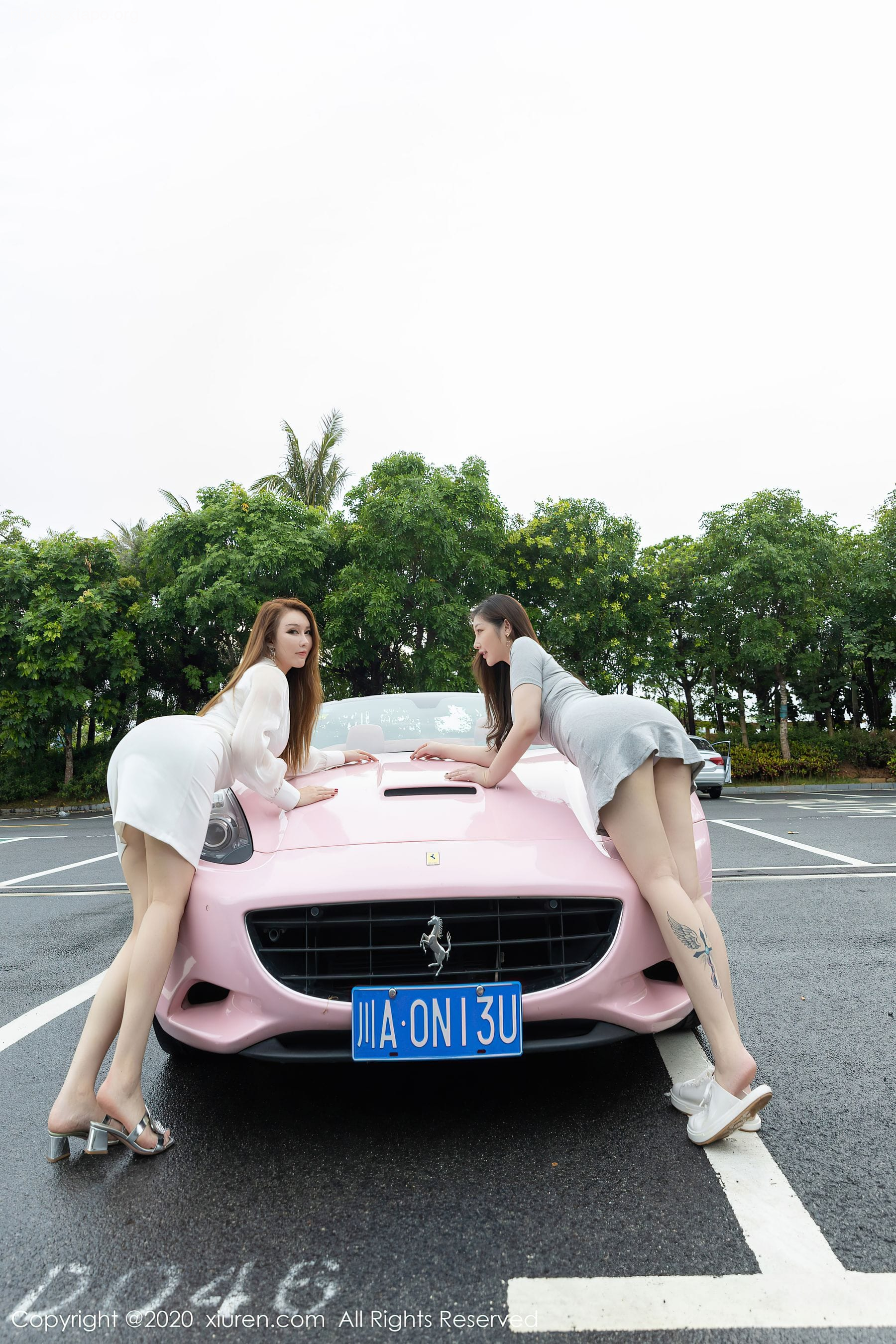 Xiuren 2641 Egg Toxic