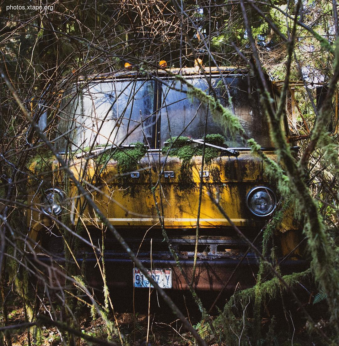 Building a wonderland of artisan cabins nestled in the PNW rainforest by Jacob Witzling & Sara Underwood