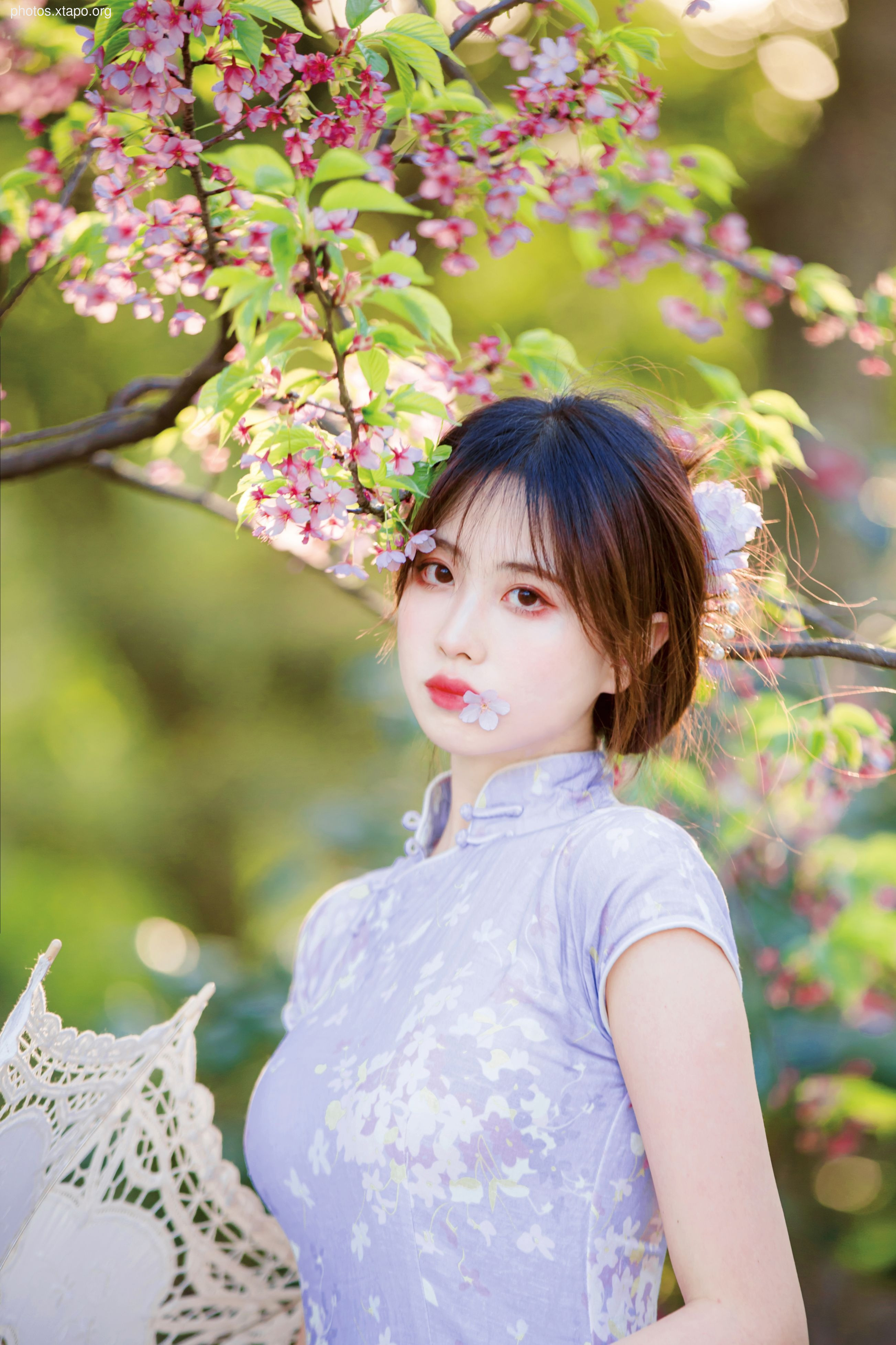 NO.026 Cheongsam 38P-377MB