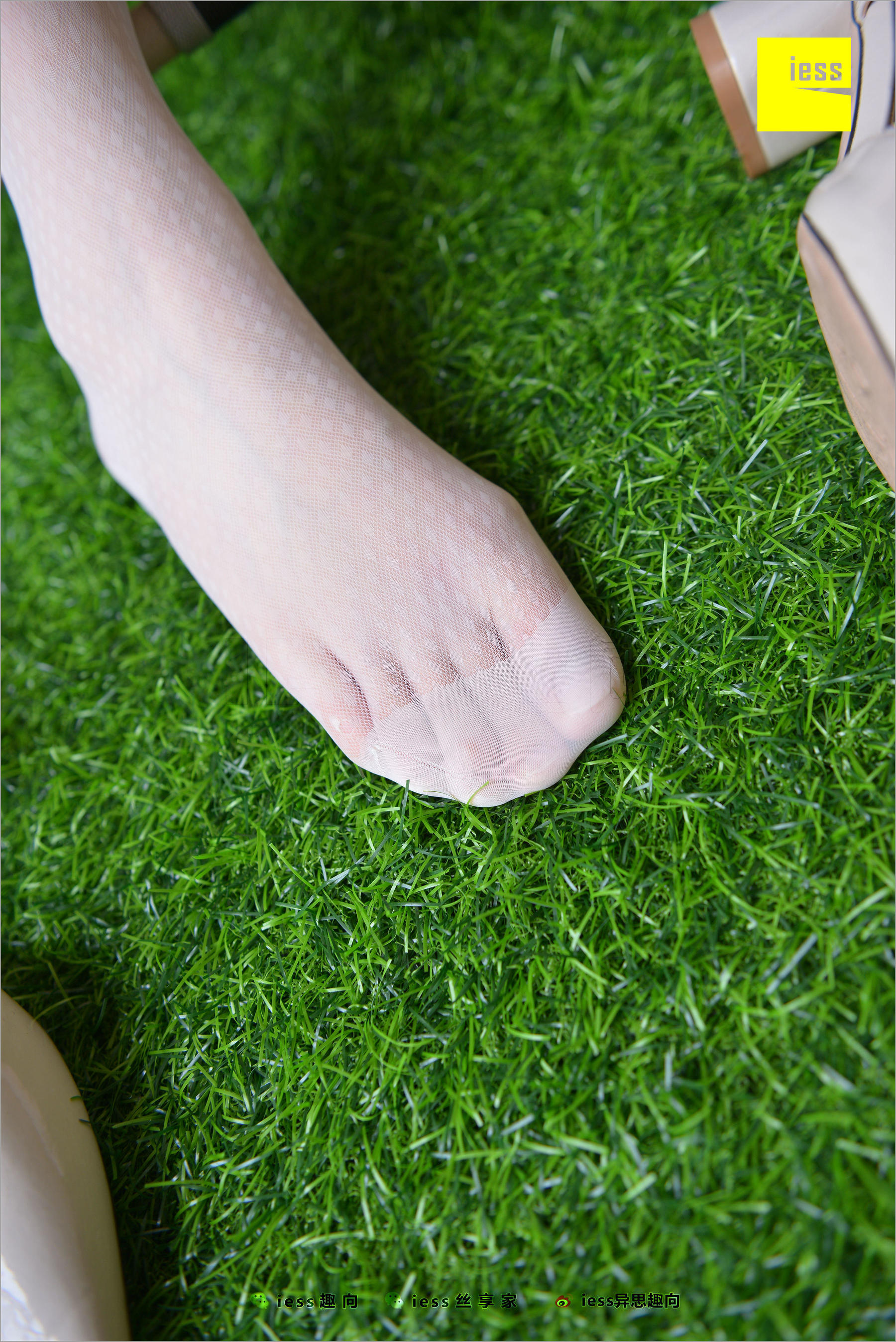 Xiao Jie's Little Classic Retro Pure White Nylon Silk Different Thoughts to IESS Silk Foot Bento 227