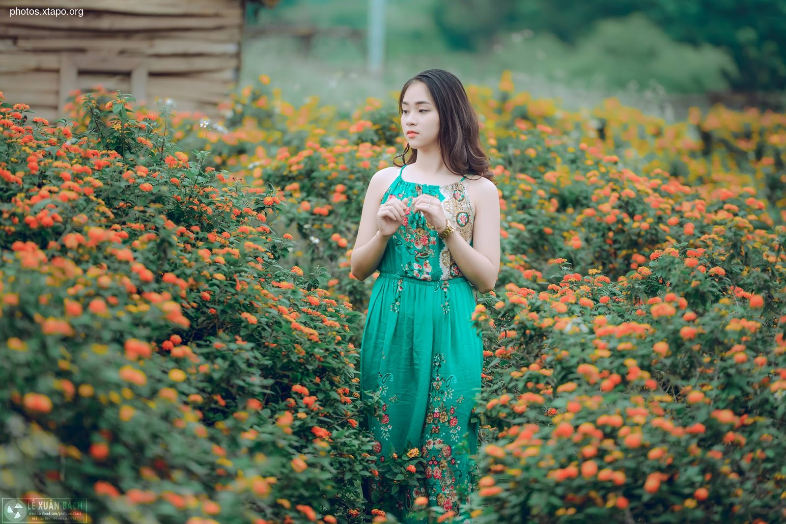 Nguyen Ngoc Anh,