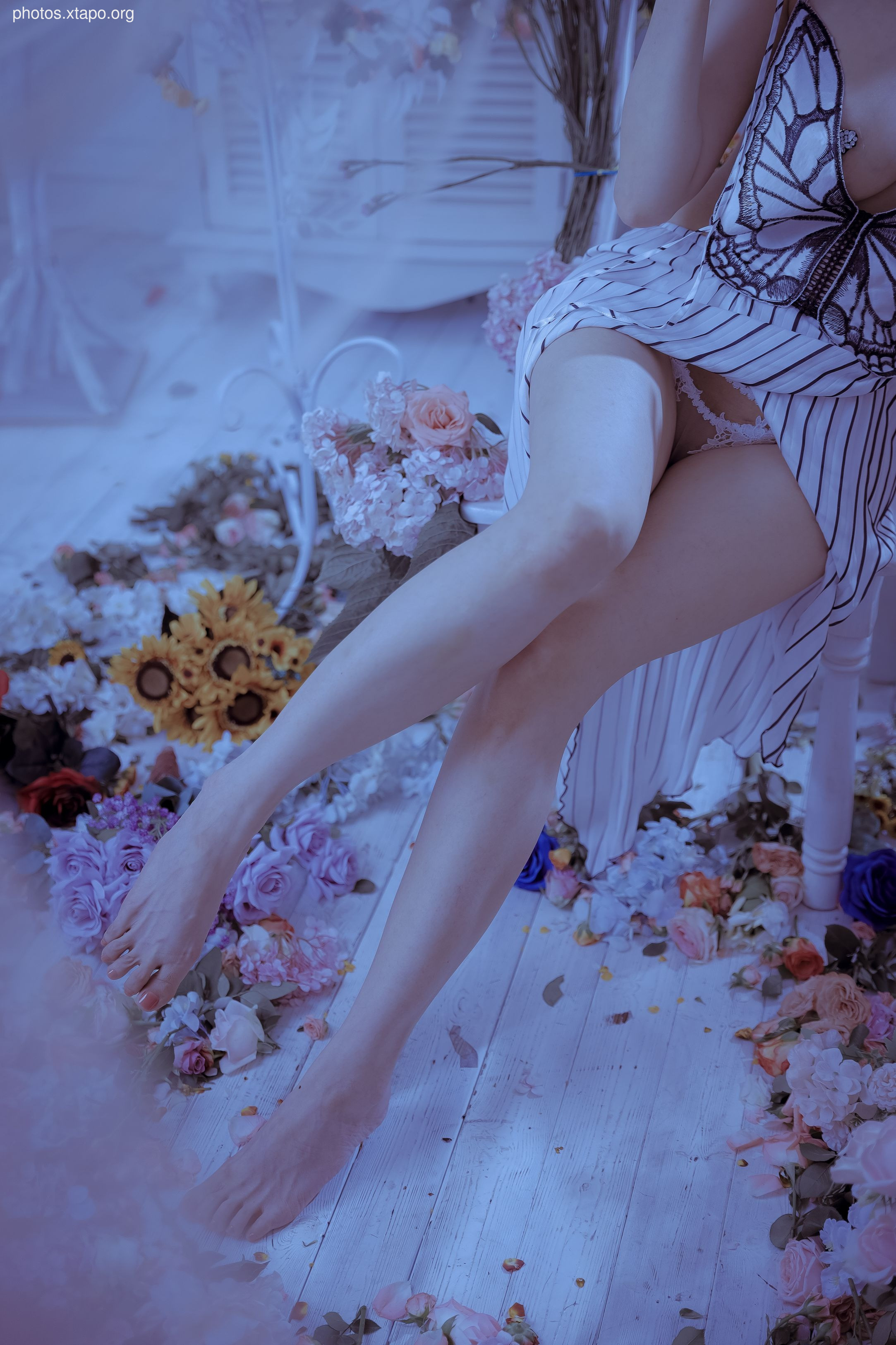 Autumn and Corgi -Mrs. Butterfly 61P1V1.2G