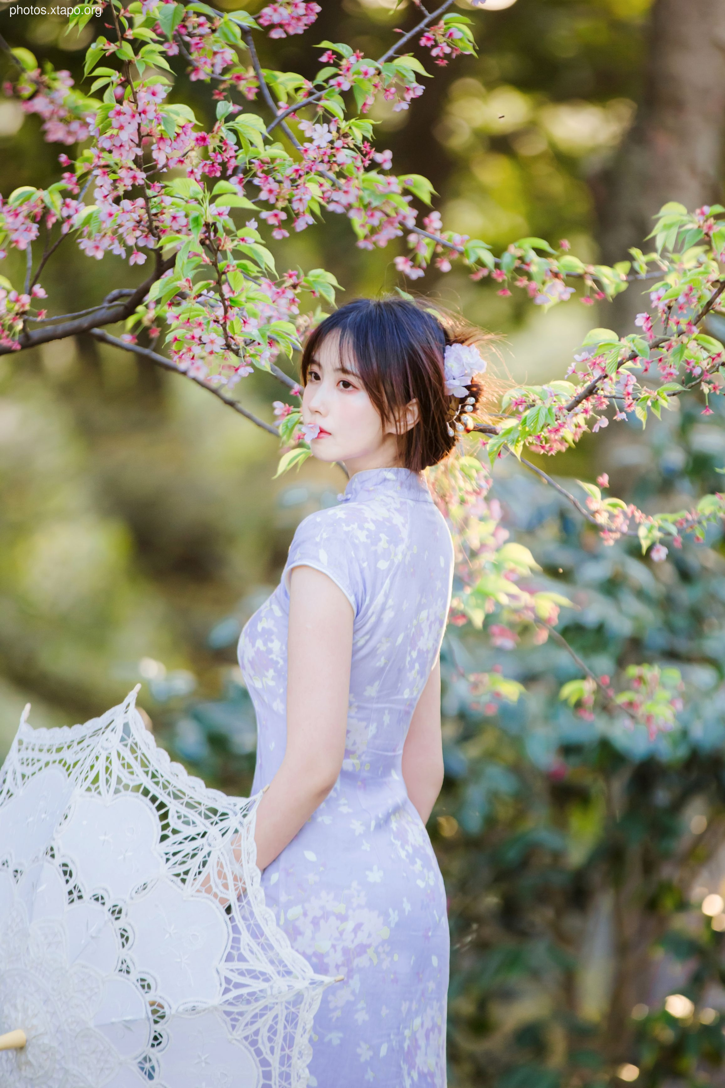 NO.026 Cheongsam 38P-377MB