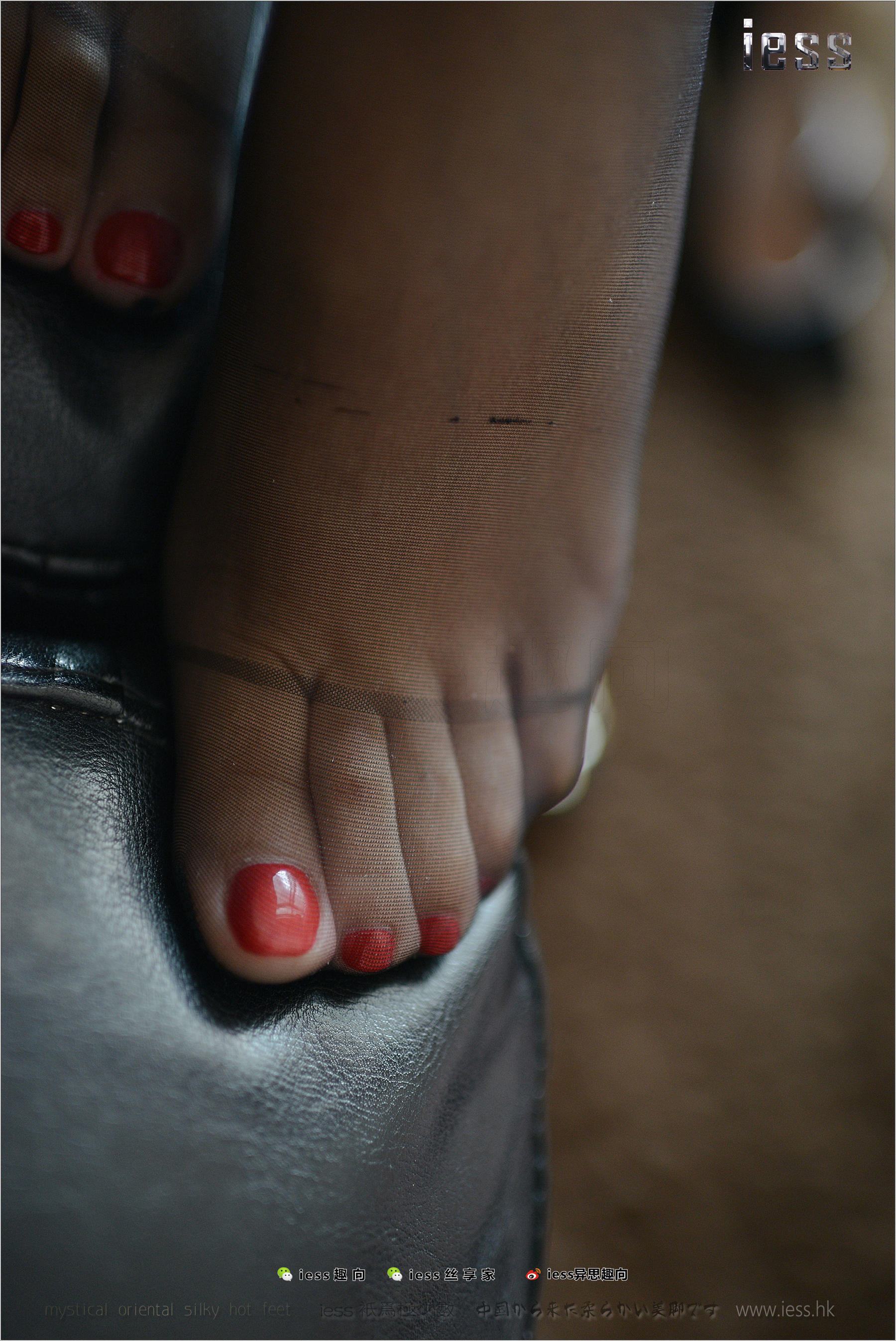 Silk Foot Bento 162 Fangfang's Wife's Black Foot IESS Thinking Funbian