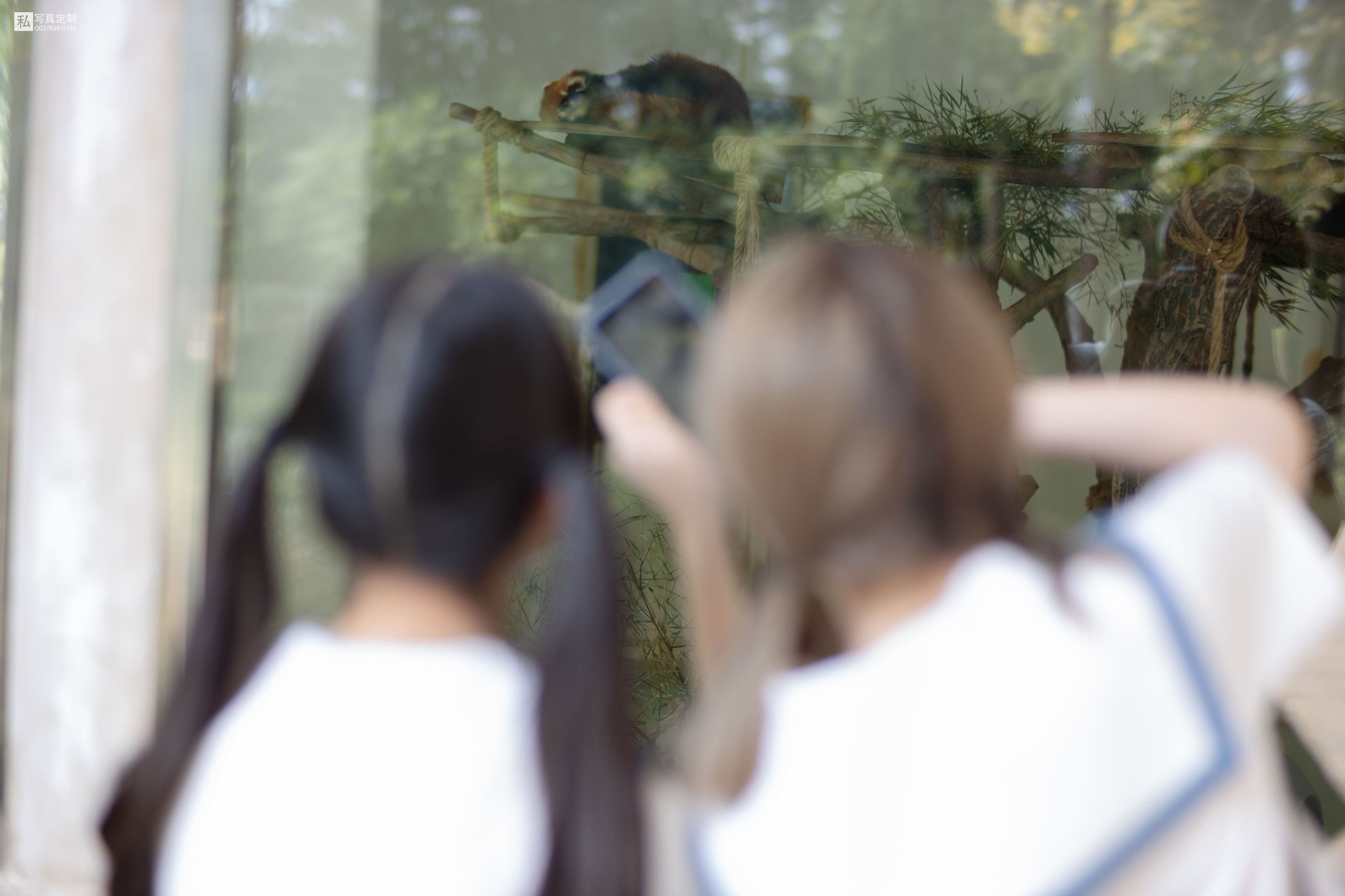 Mori Consortium JKFUN-025 Mo Mo & amp; AIKA 80D white silk overweight socks