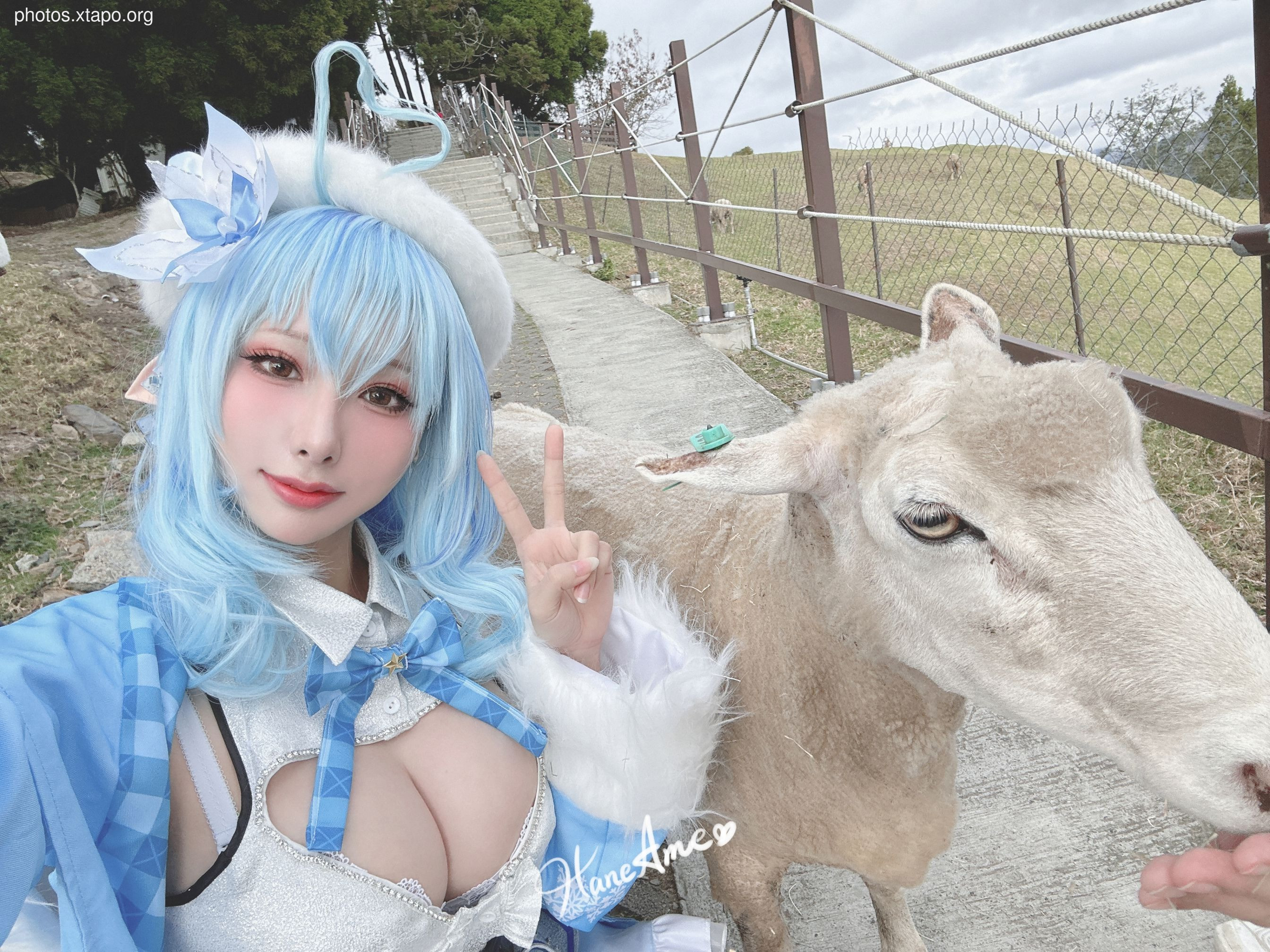 HOLOLIVE_LAMY_ 菈 h h (January 1 Reward Group Resources)