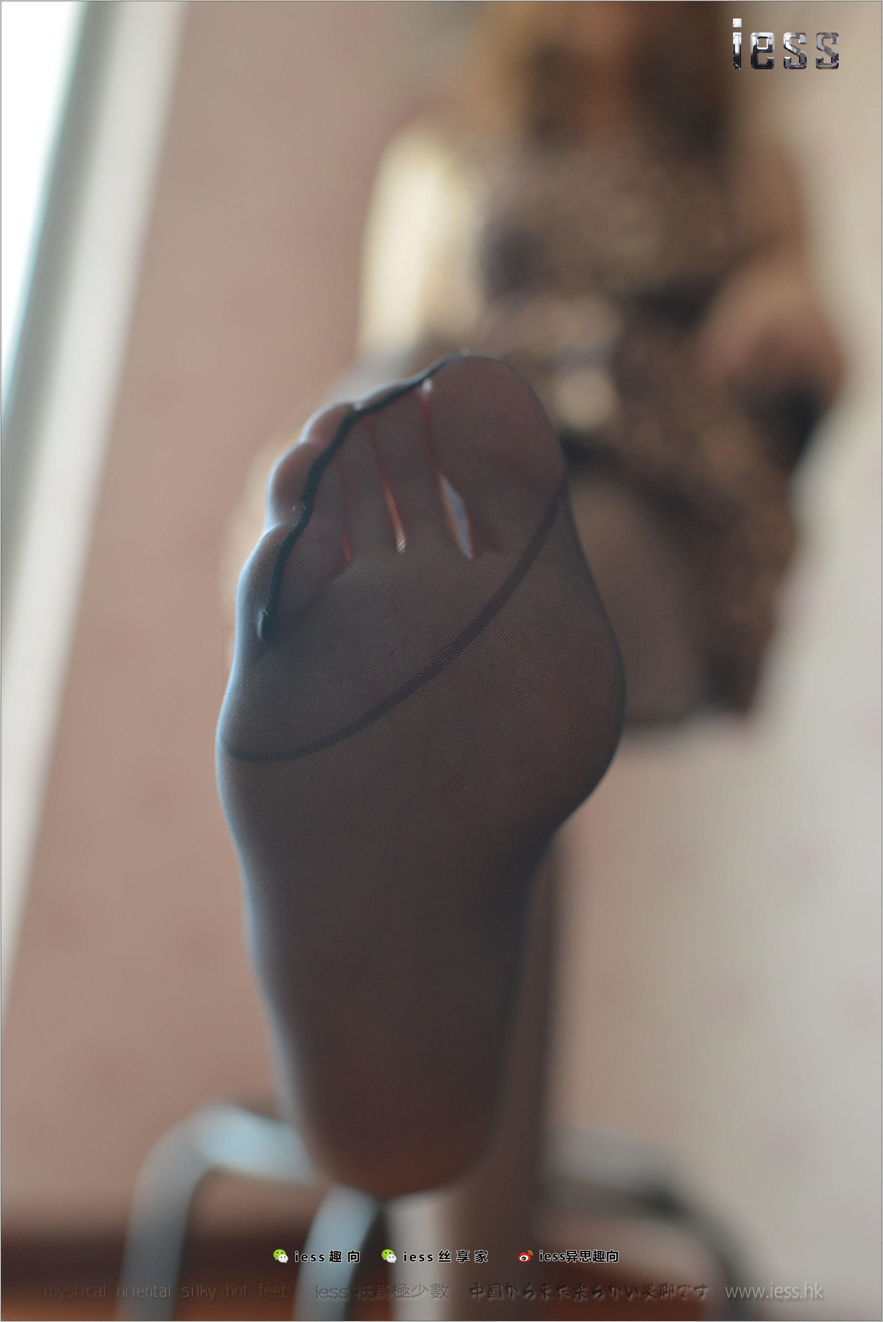 Silk Foot Bento 162 Fangfang's Wife's Black Foot IESS Thinking Funbian