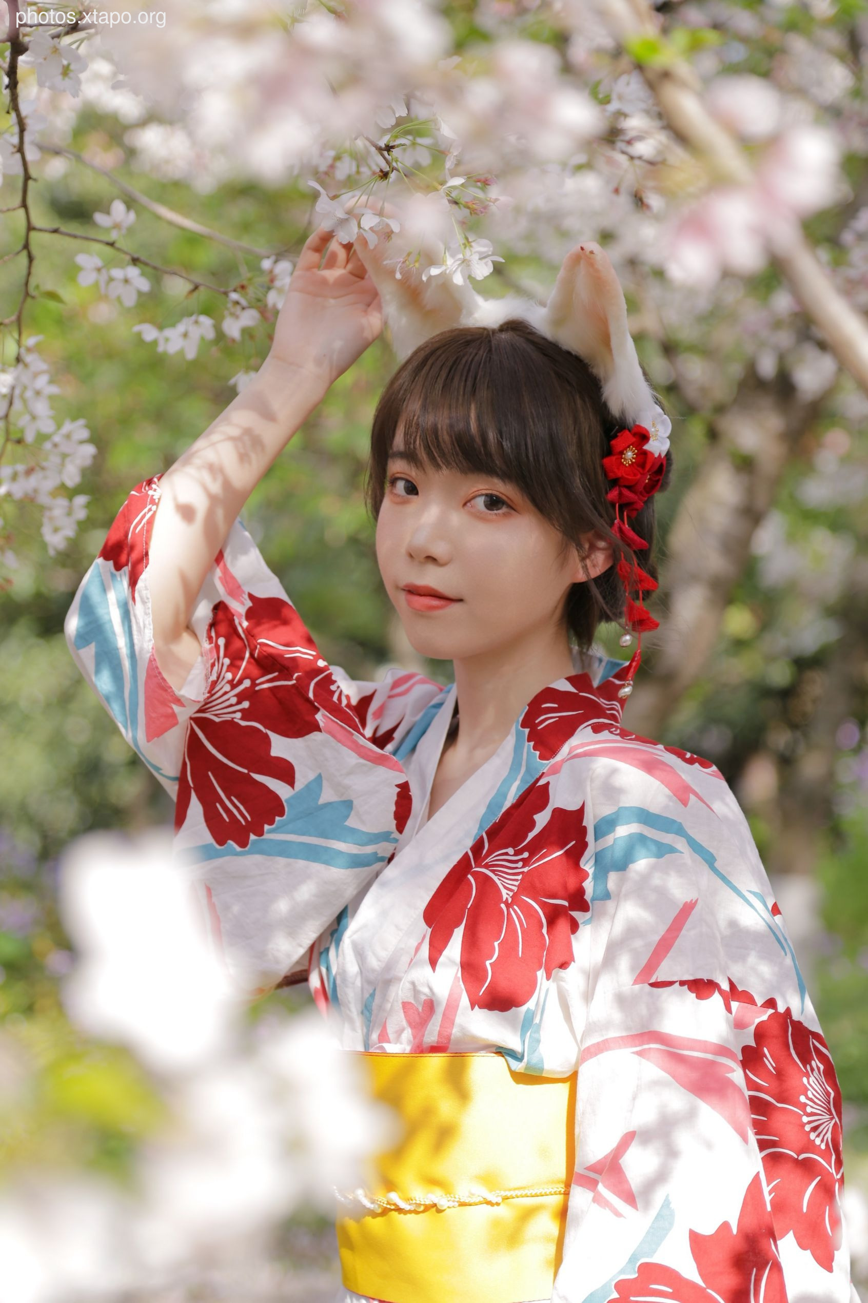 NO.017 Sakura Rabbit