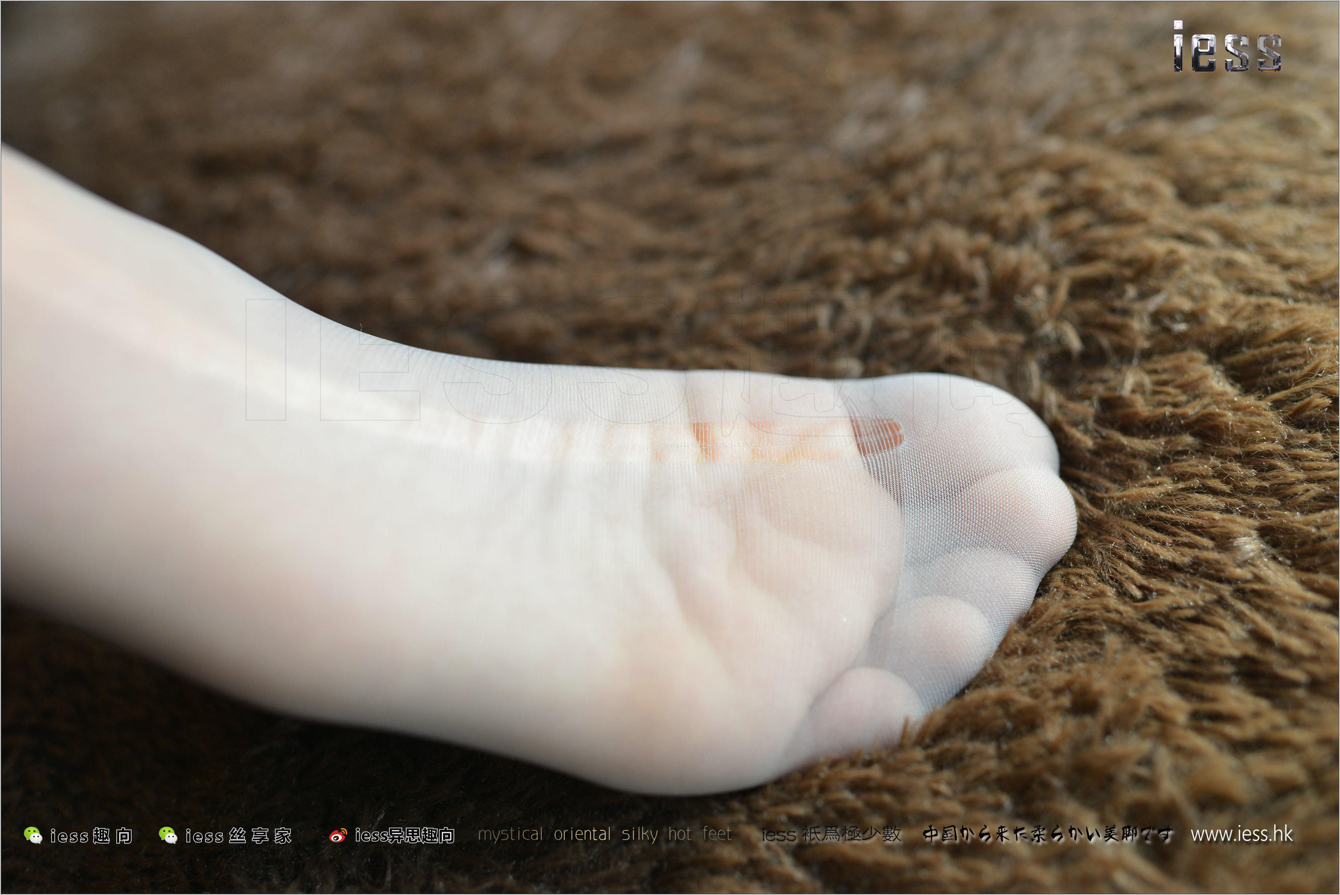 Silk Foot Bento 135 New Model Momo Gray Silk OL in flat shoes IESS is thinking about