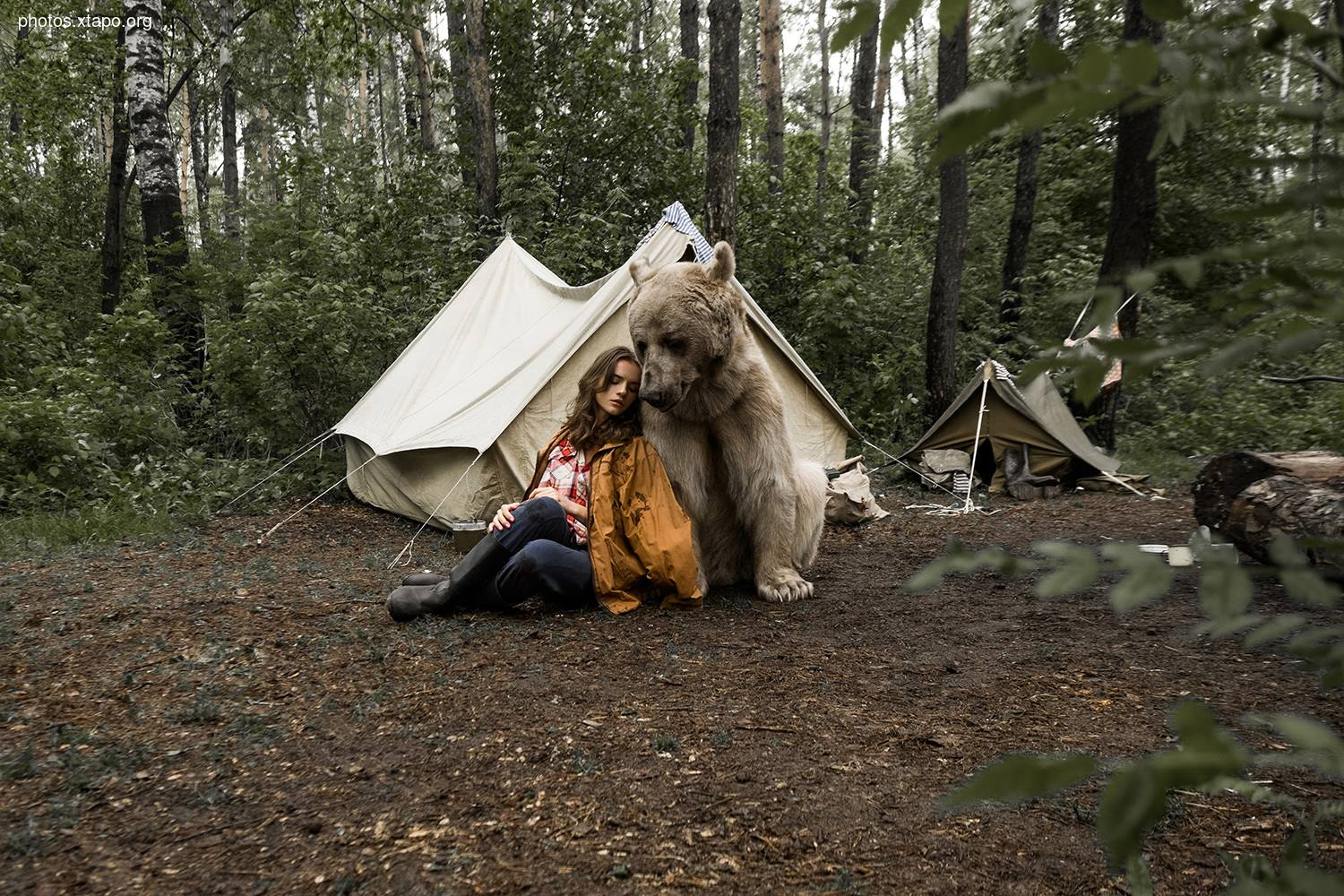 Russia nature, forest and animals by Olga Barantseva