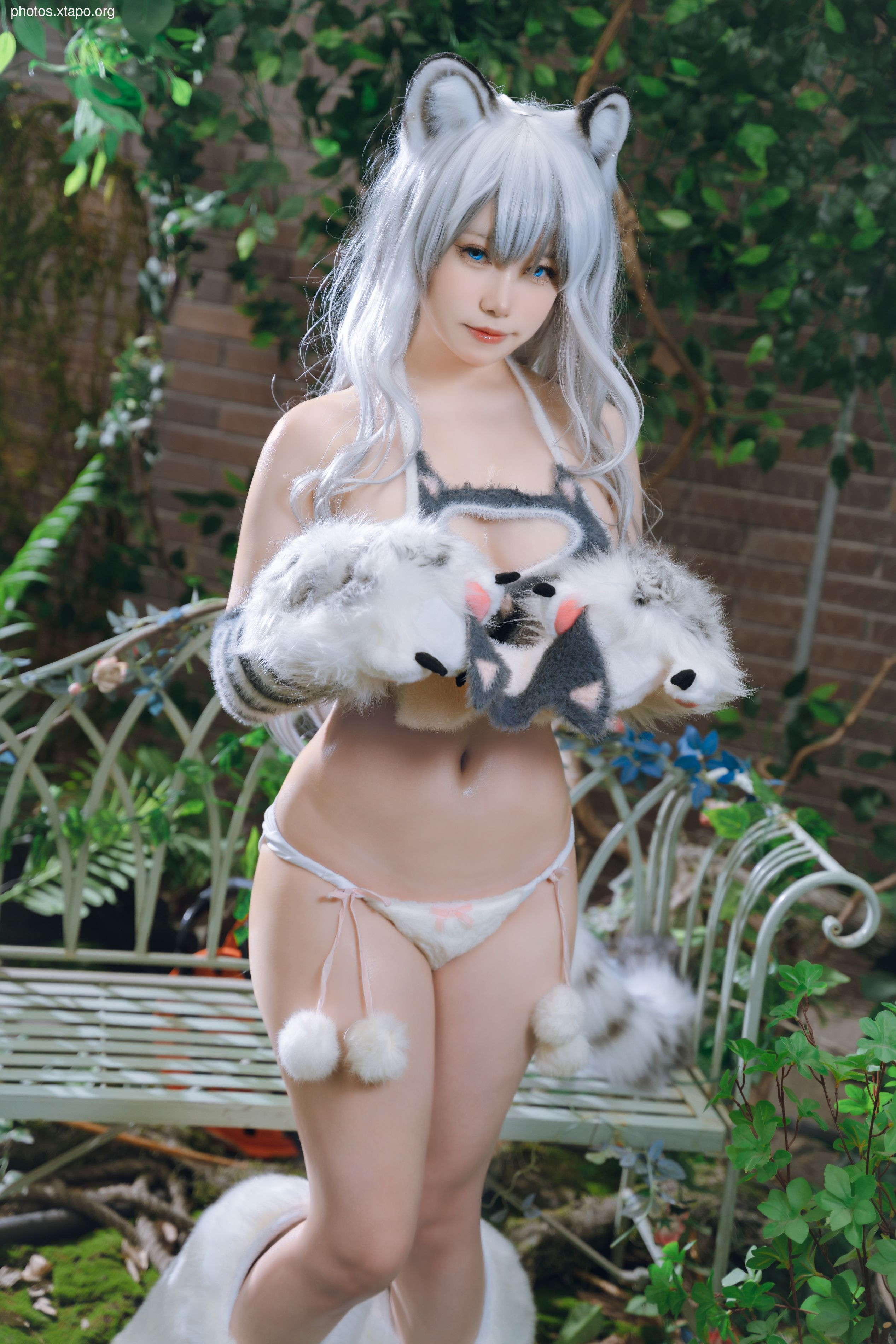 One North White Tiger Beast Mother Furui (November 21 Award Group Resources)