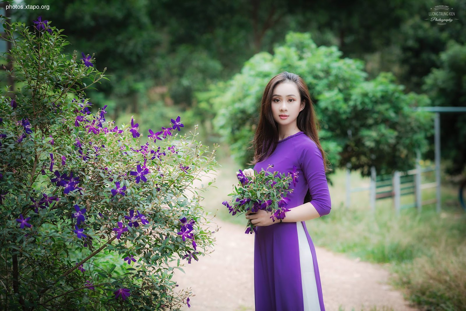 the most beautiful wild forest of purple flowers The most love story