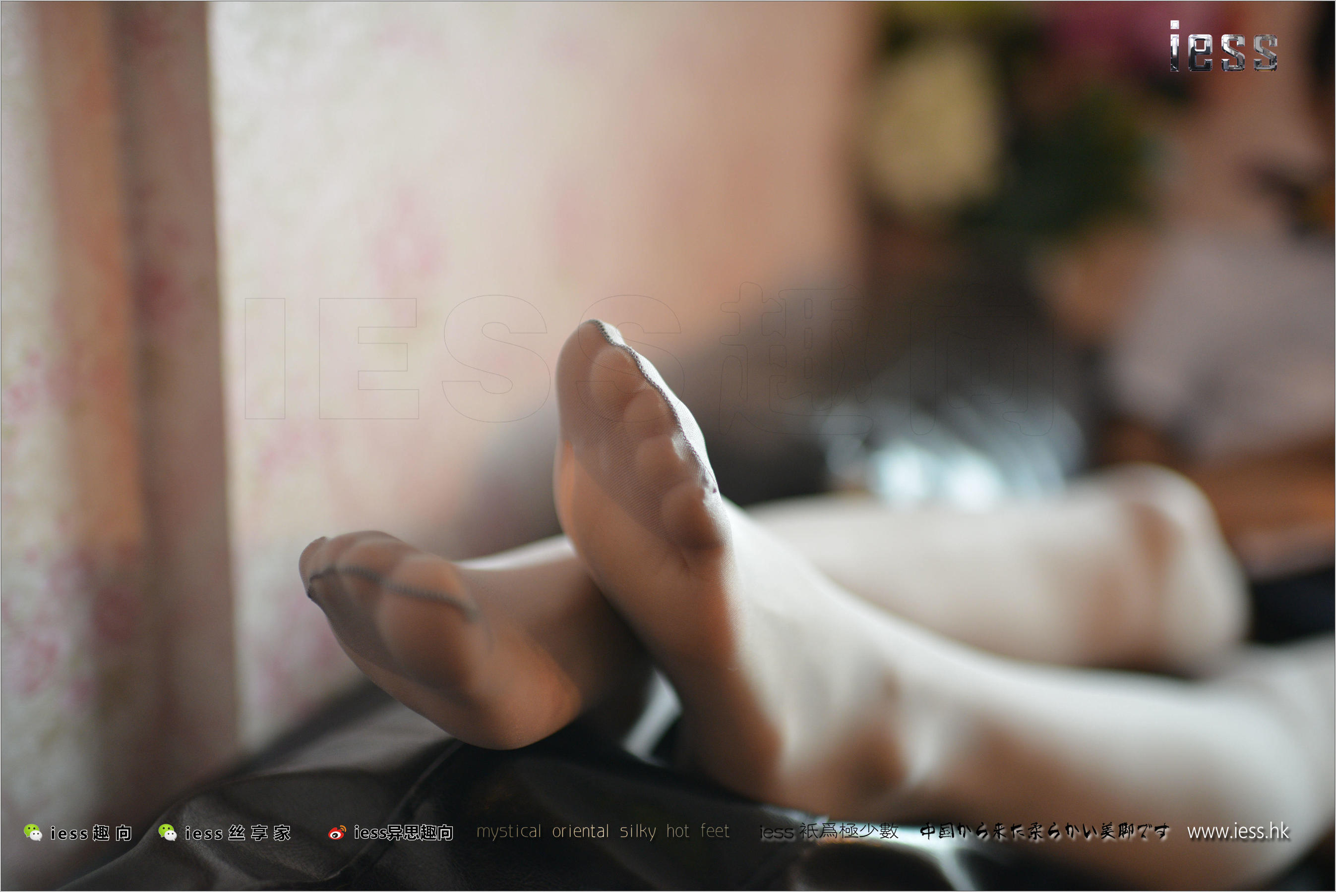 Silk Foot Bento 135 New Model Momo Gray Silk OL in flat shoes IESS is thinking about