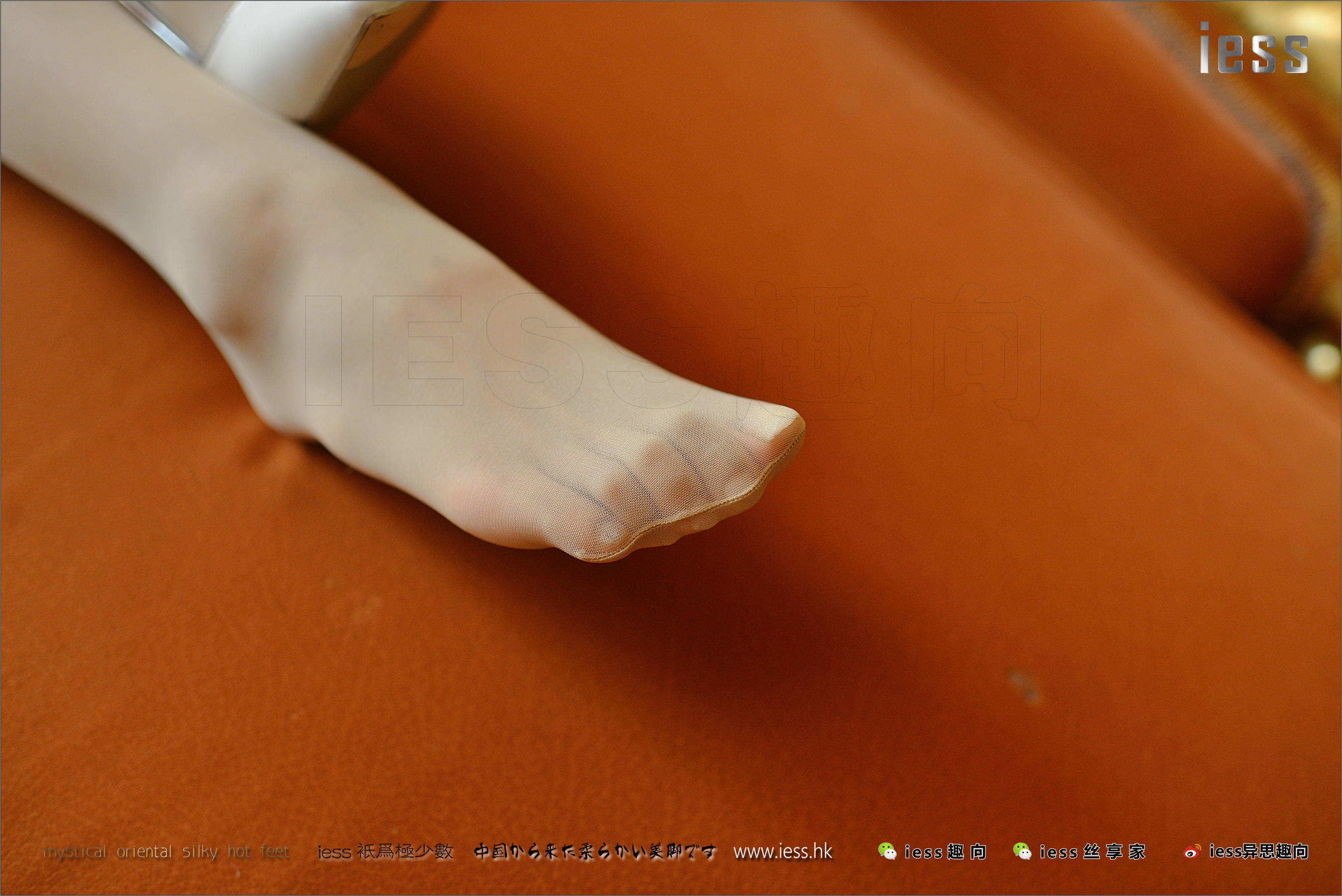 Silk Foot Bento 128 Little Mo I'm Momo IESS Thoughts and Interesting