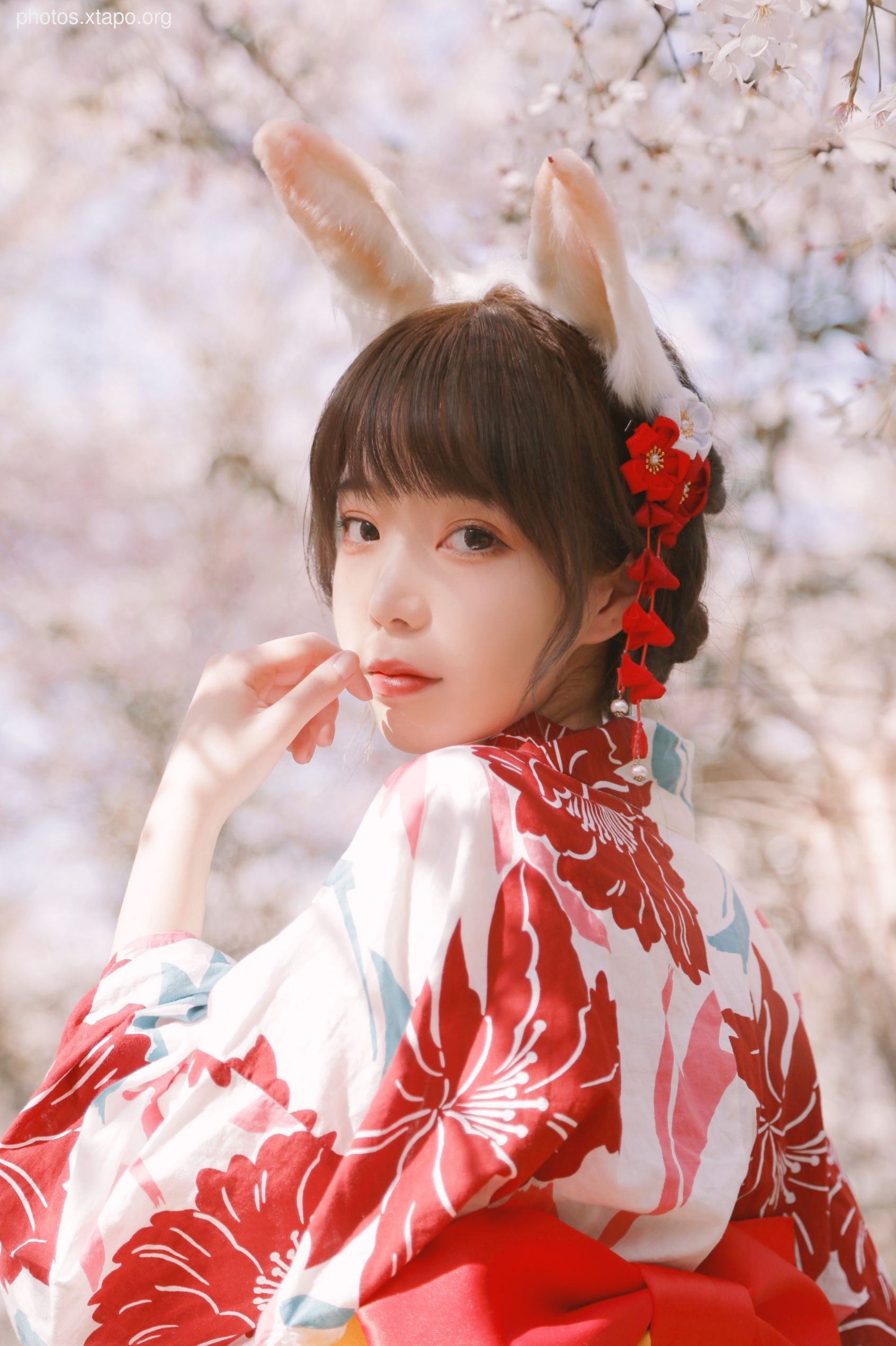 NO.017 Sakura Rabbit