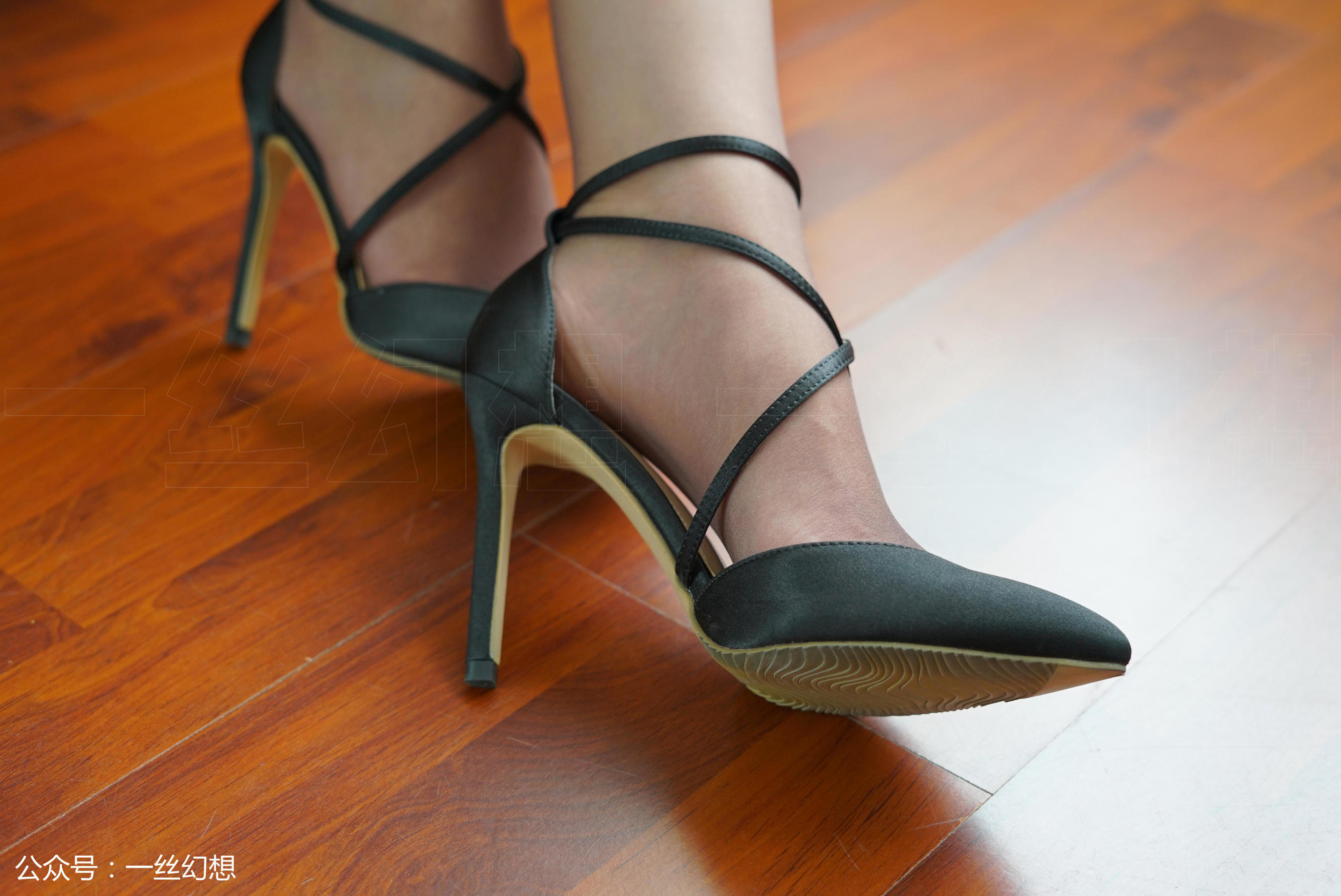 Takashi Women's Illustrations Socks Mono × A hint of fantasy NO.016 Sissi