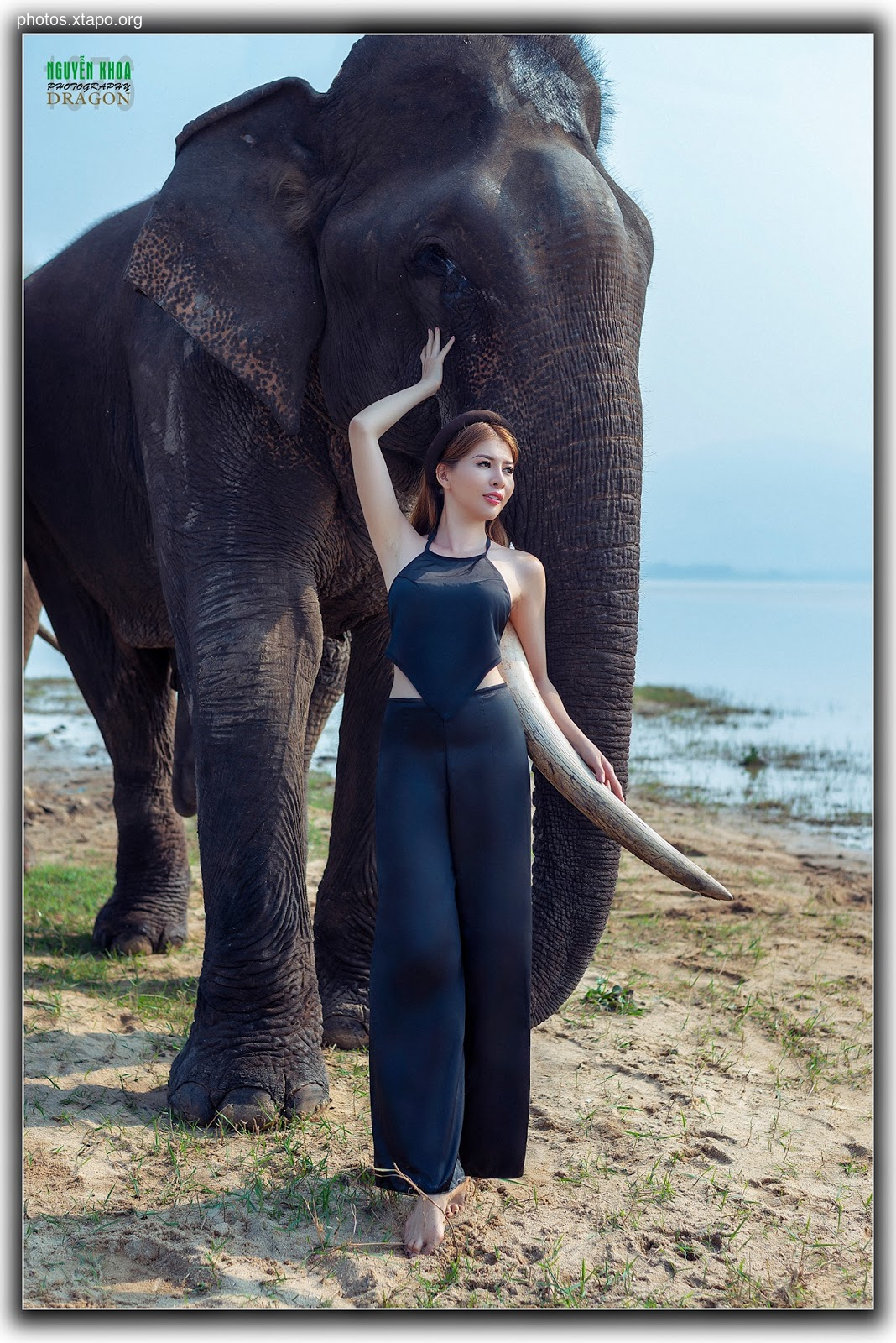 Thao Chi vs Kim Phung,